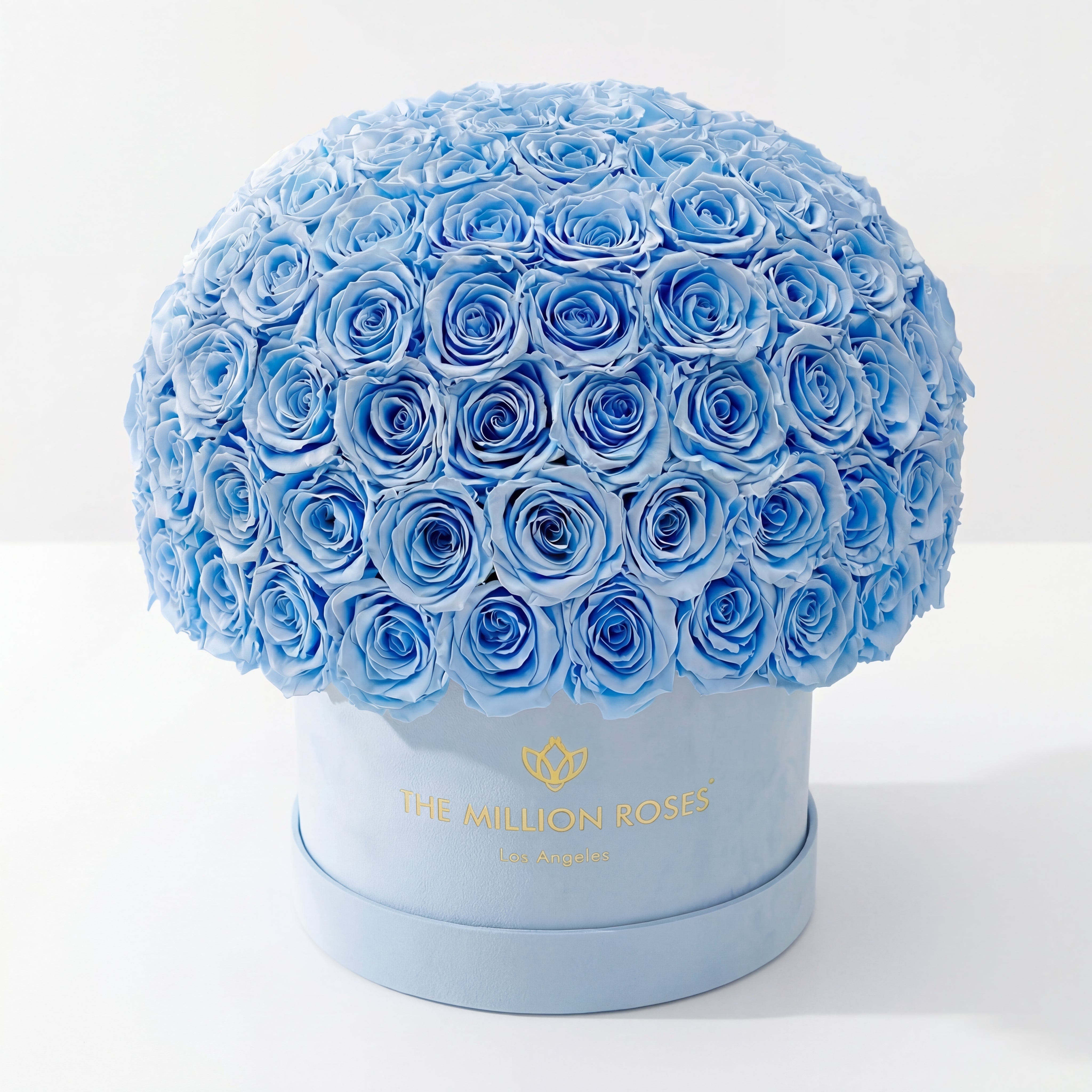 Supreme Scatola Superdome in pelle scamosciata azzurra | Rose azzurre