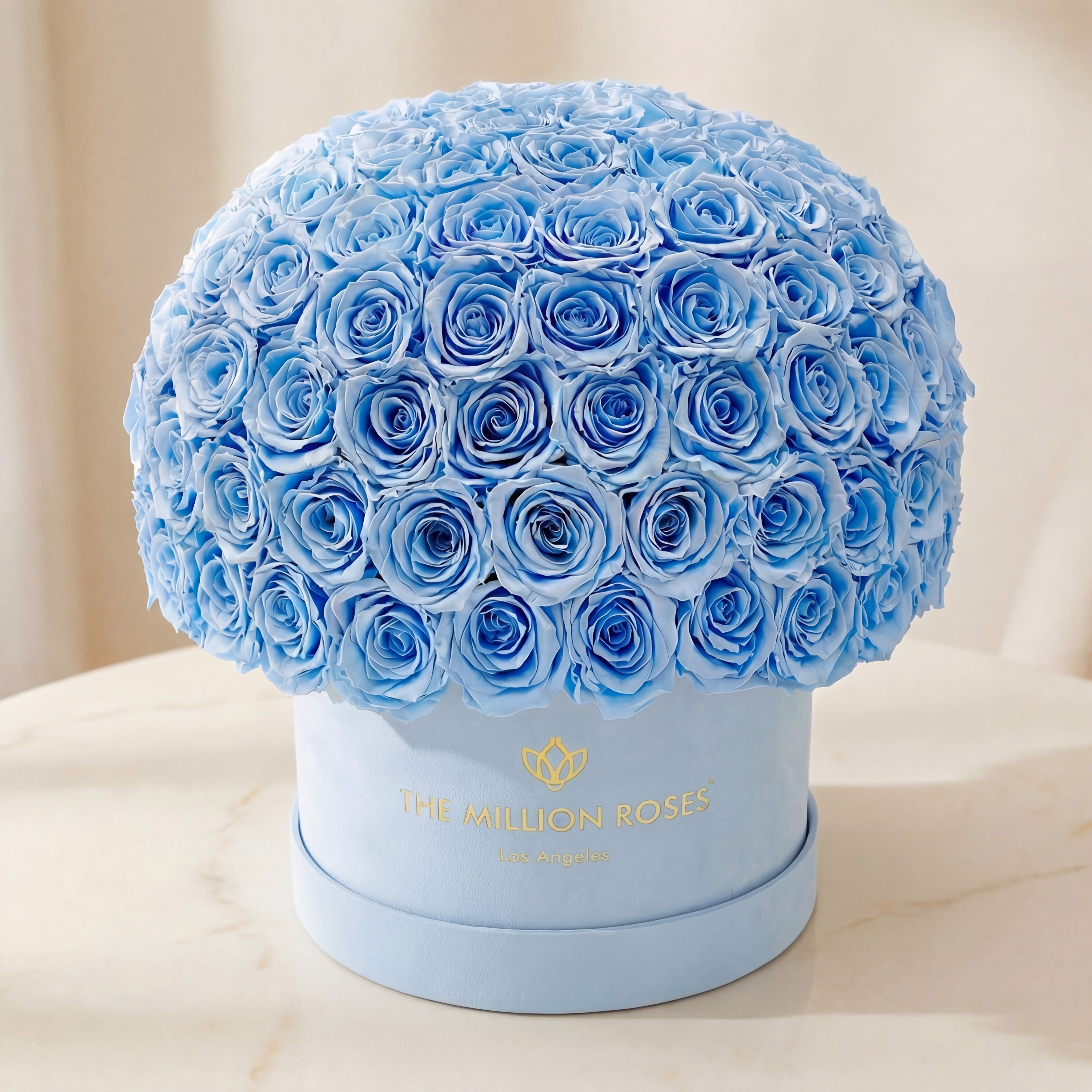 Supreme Scatola Superdome in pelle scamosciata azzurra | Rose azzurre