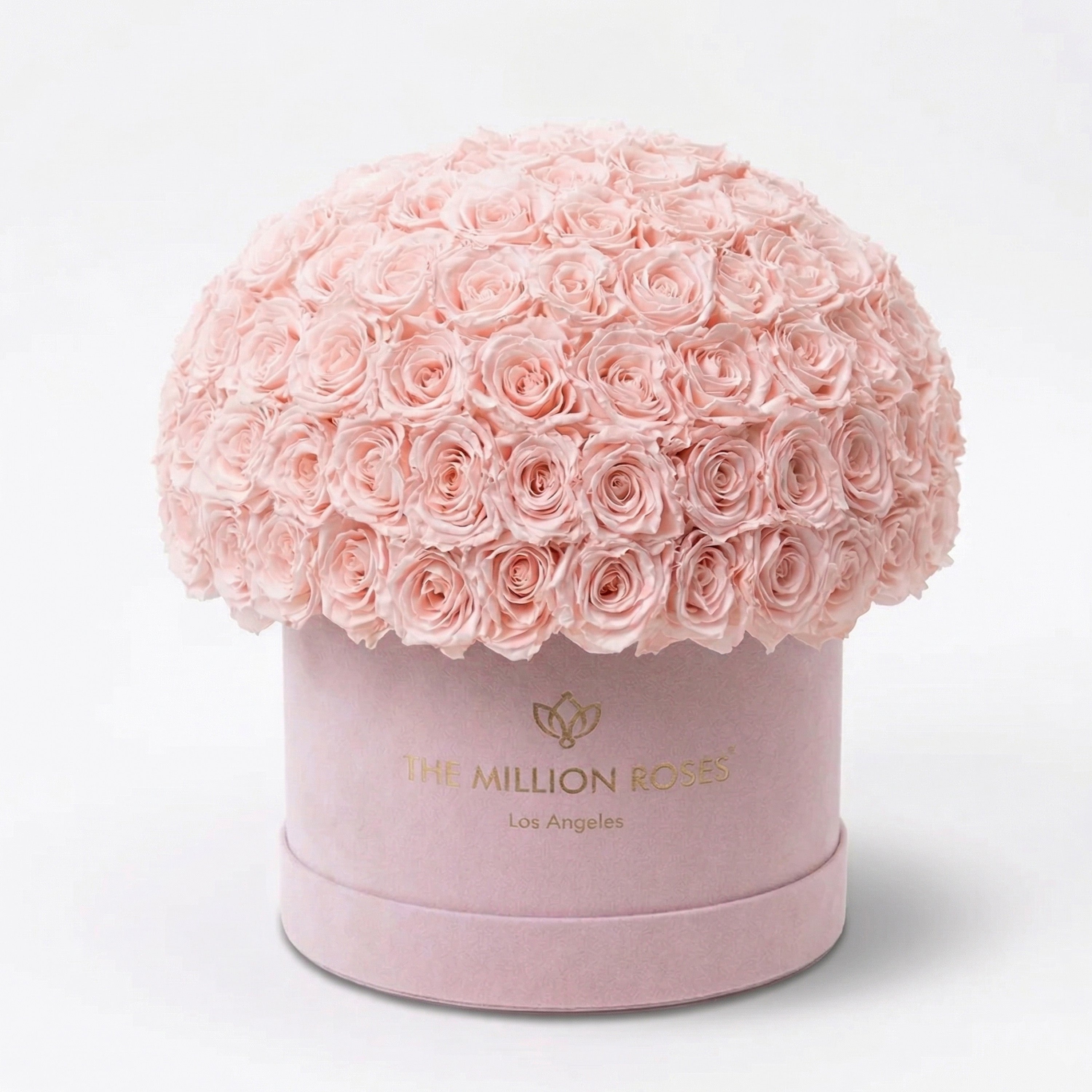 Scatola Superdome Supreme in pelle scamosciata rosa chiaro | Rose rosa chiaro