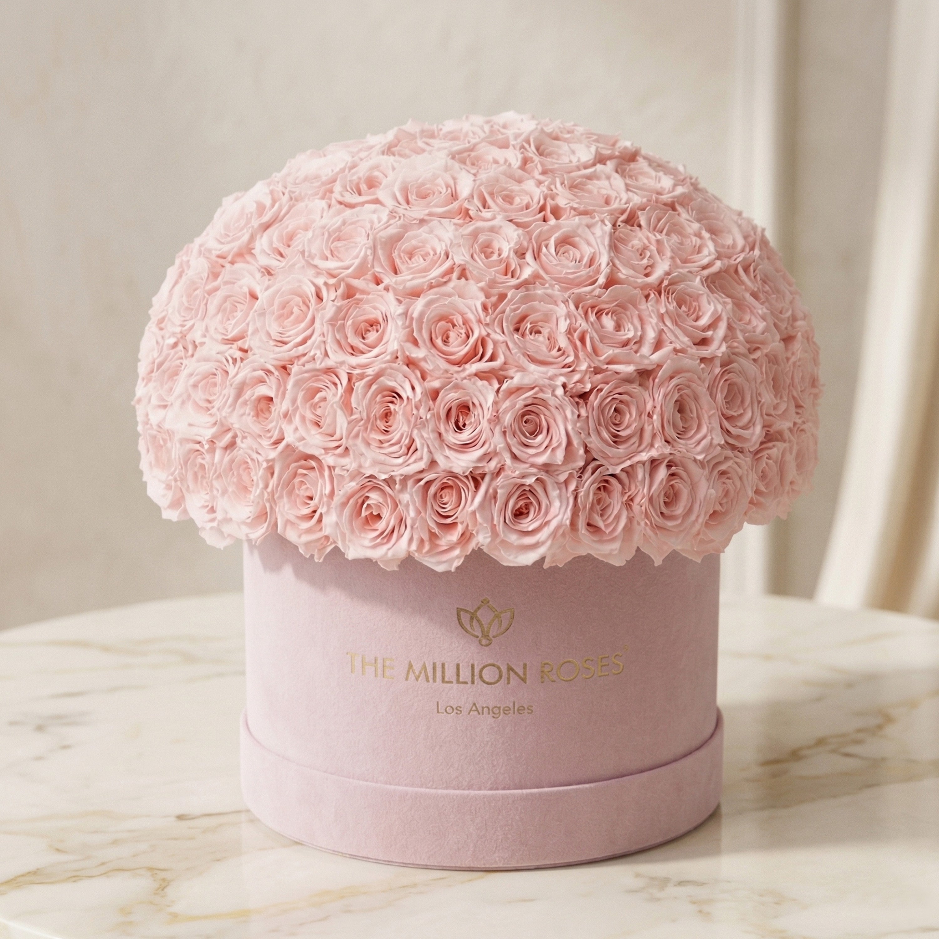 Scatola Superdome Supreme in pelle scamosciata rosa chiaro | Rose rosa chiaro