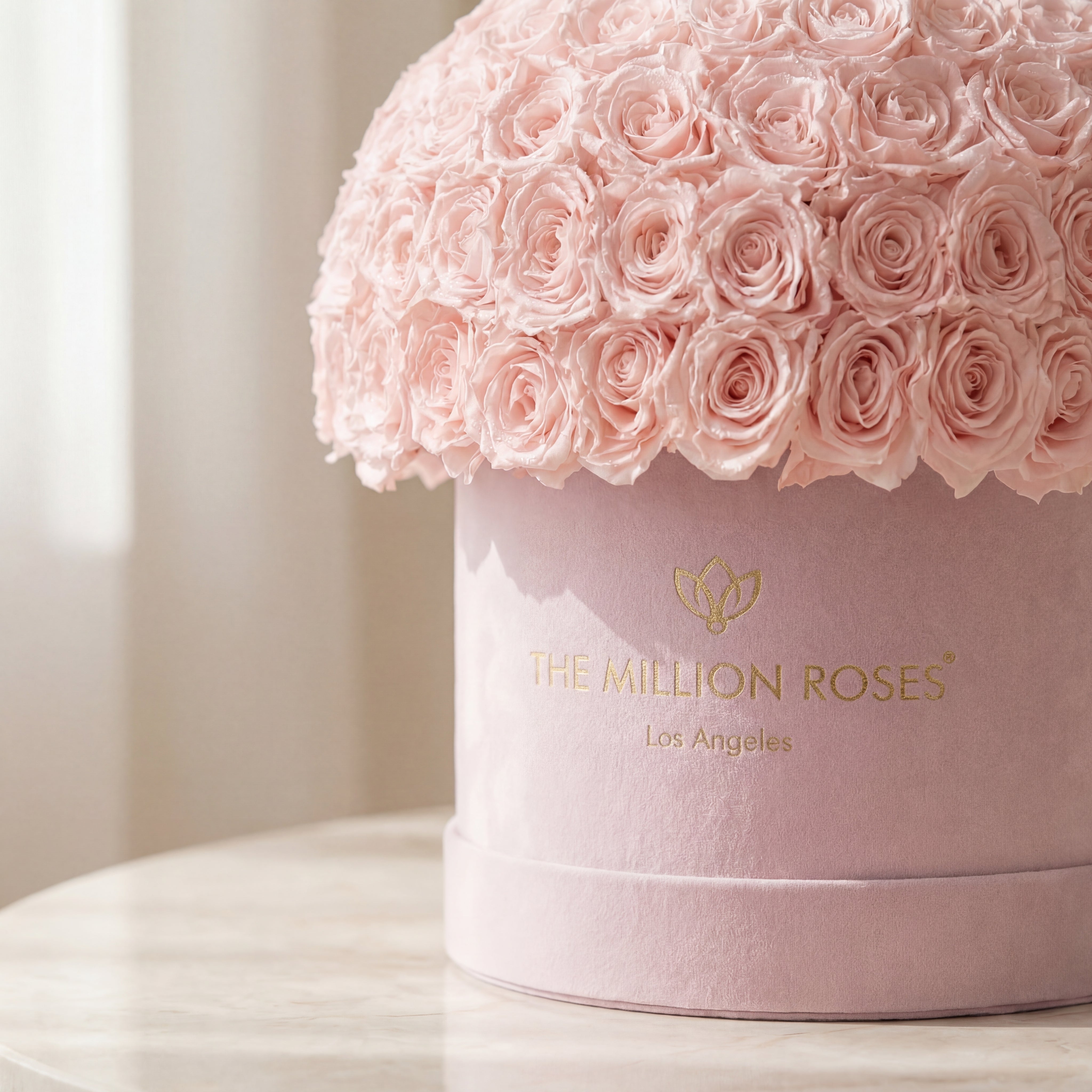 Cutie Superdome din piele de căprioară roz deschis suprem | Trandafiri roz deschis