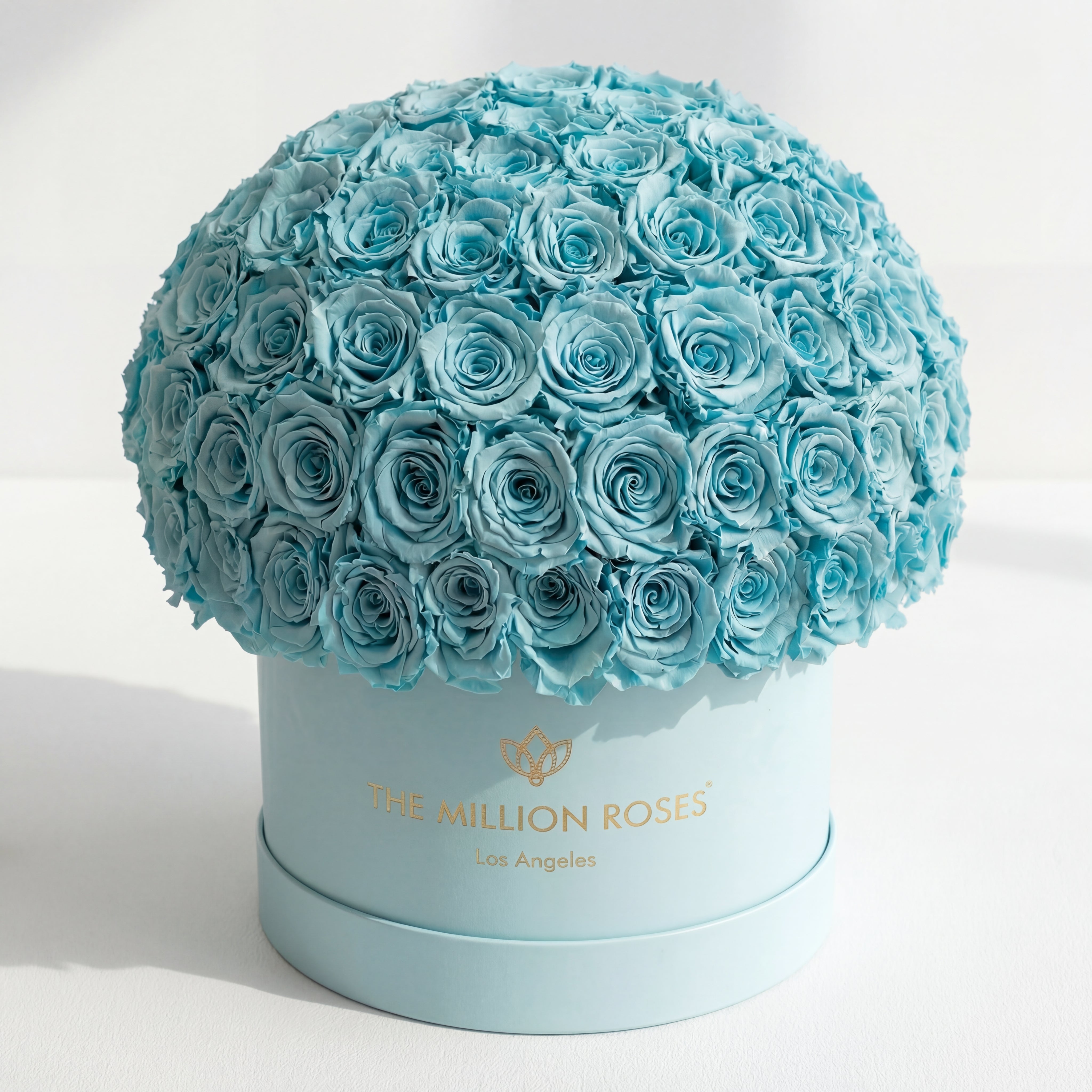 Scatola Superdome Supreme in pelle scamosciata verde menta | Rose blu turchesi