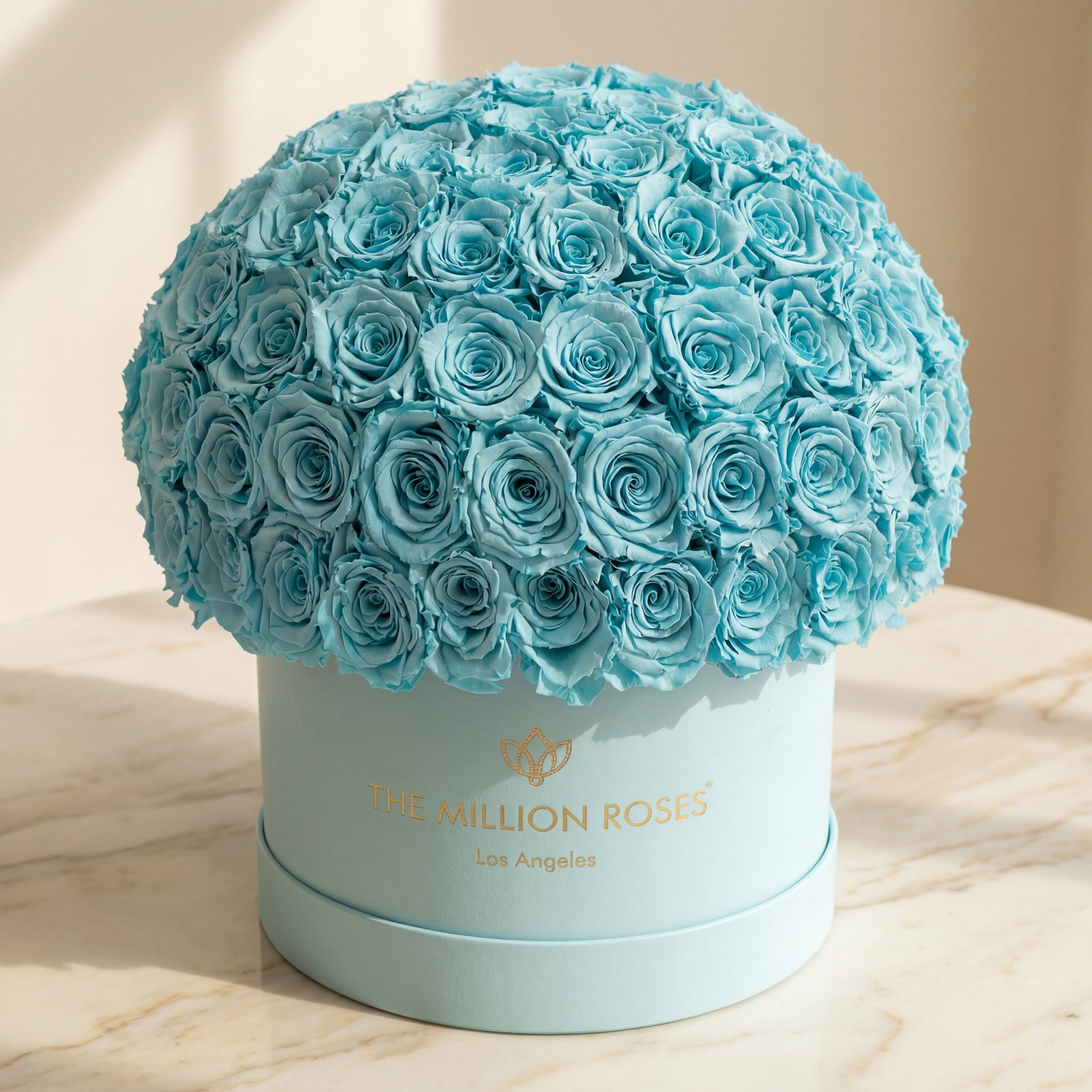 Scatola Superdome Supreme in pelle scamosciata verde menta | Rose blu turchesi