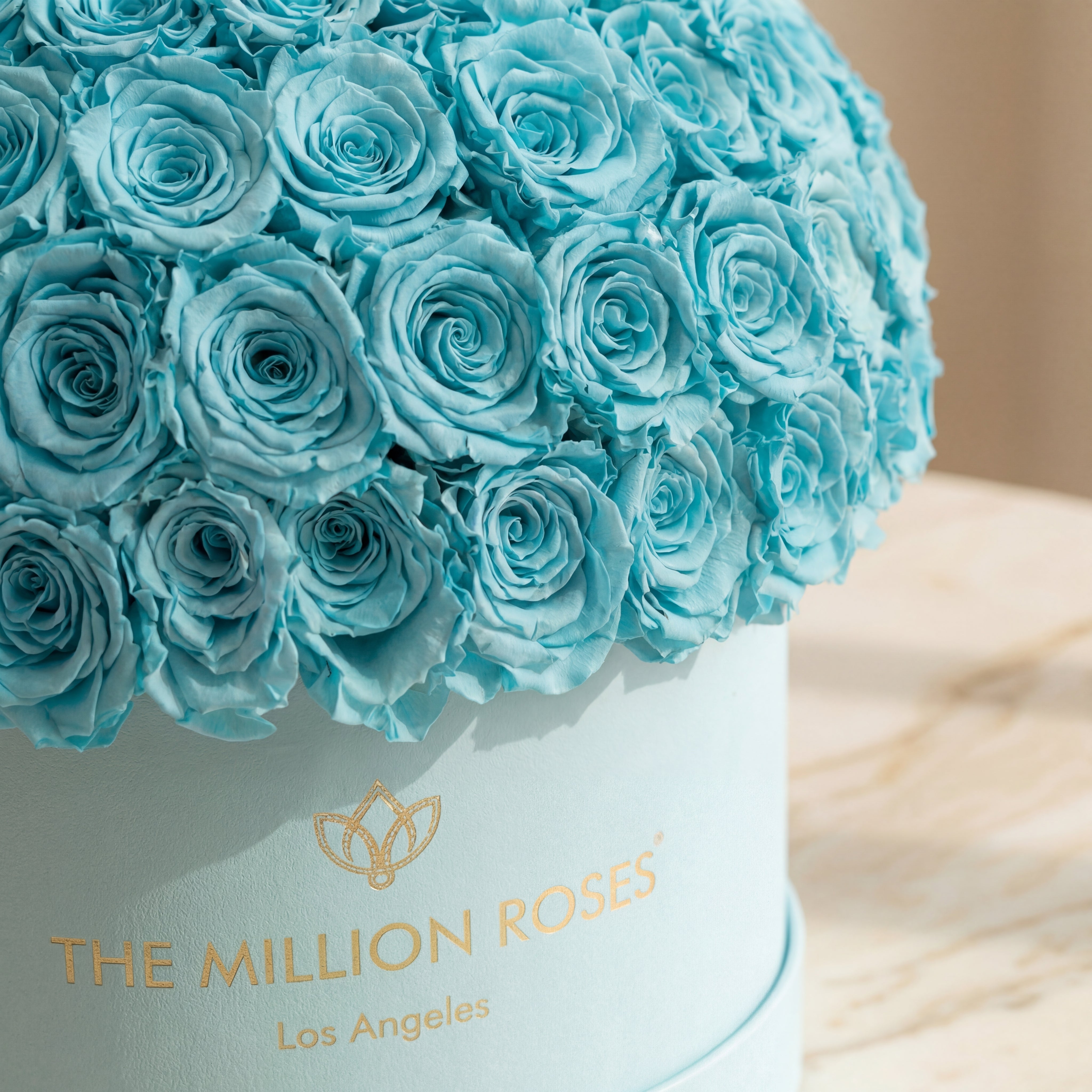 Supreme Mint Green Suede Superdome Box | Turquoise Blue Roses
