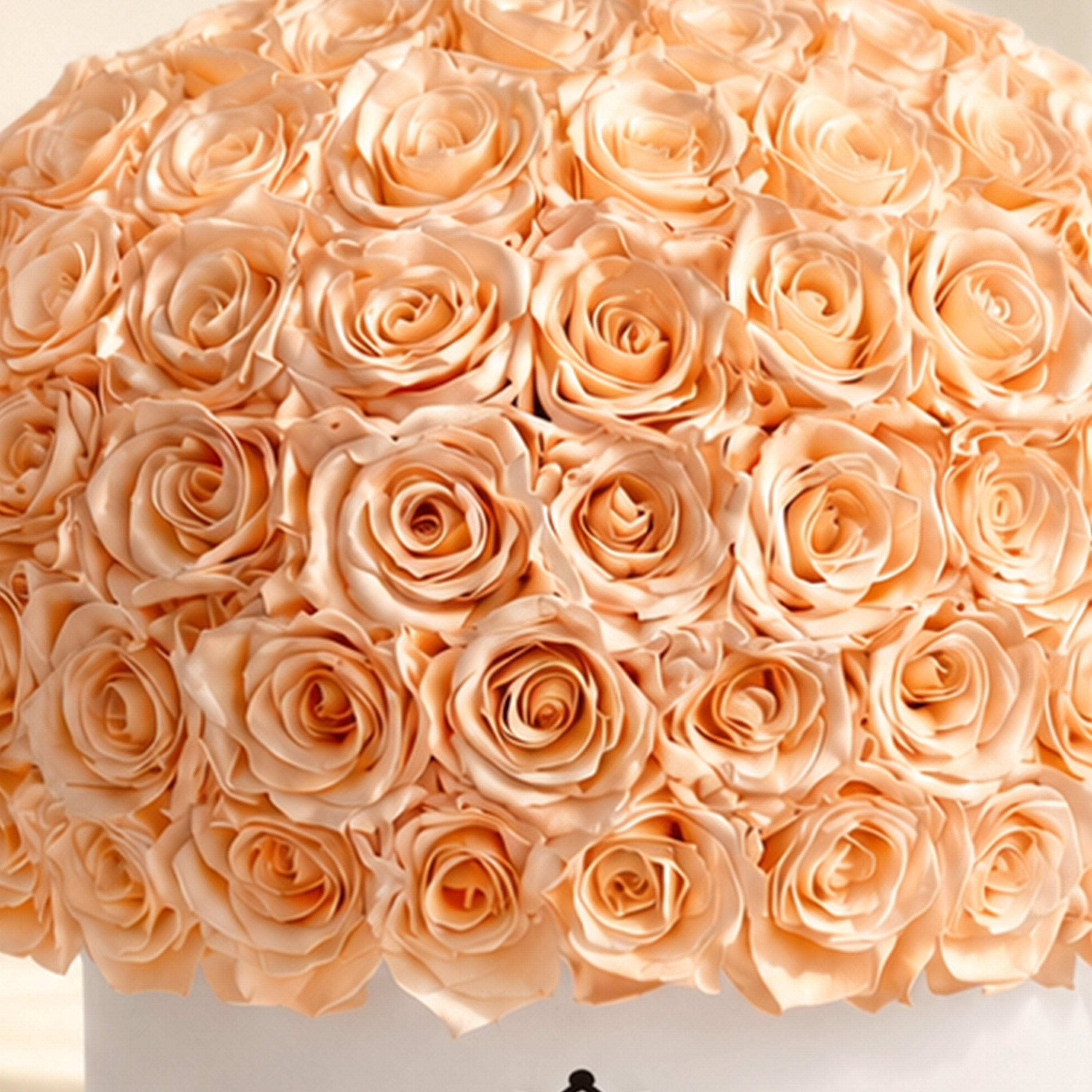 Supreme White Superdome Box | Peach Roses