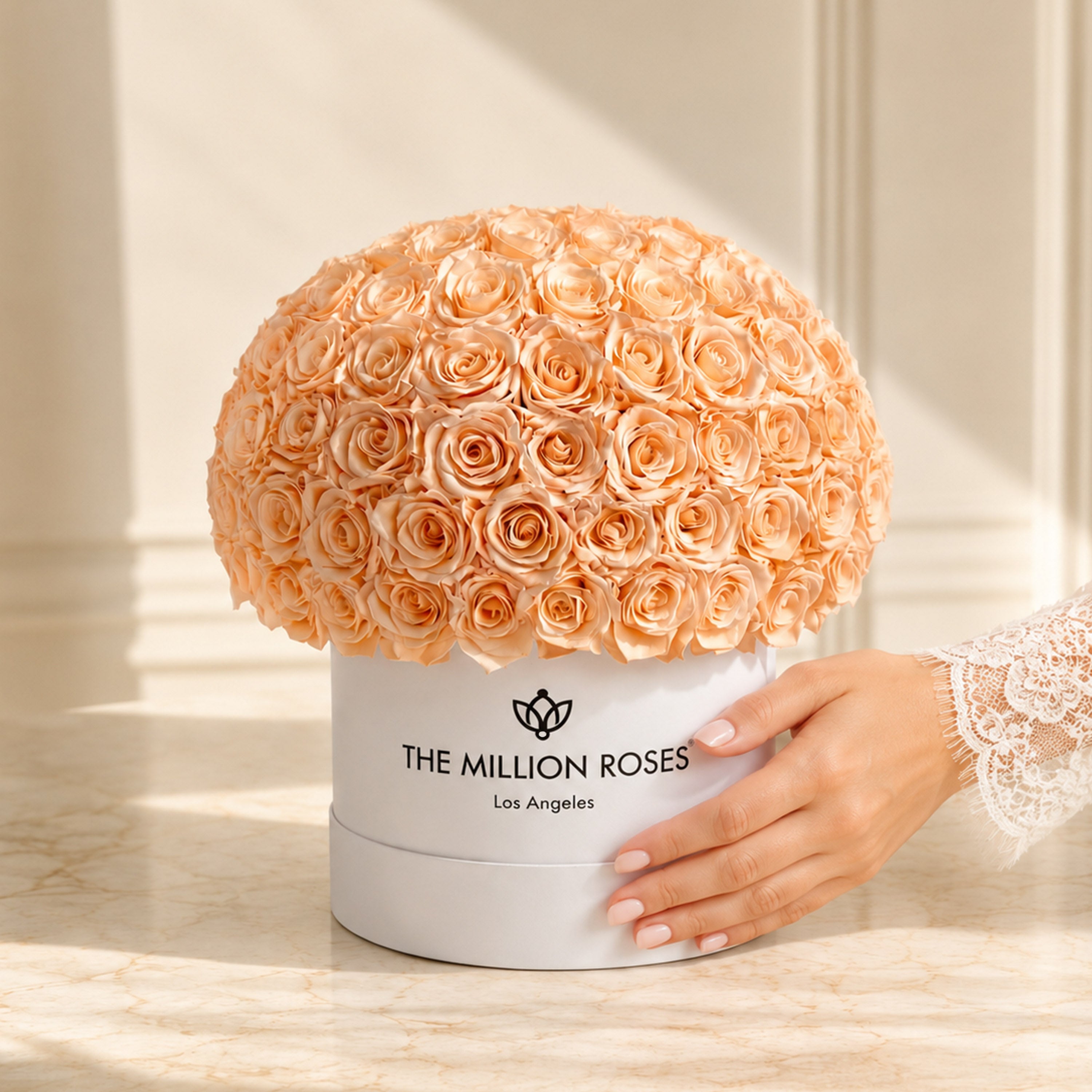 Supreme White Superdome Box | Peach Roses
