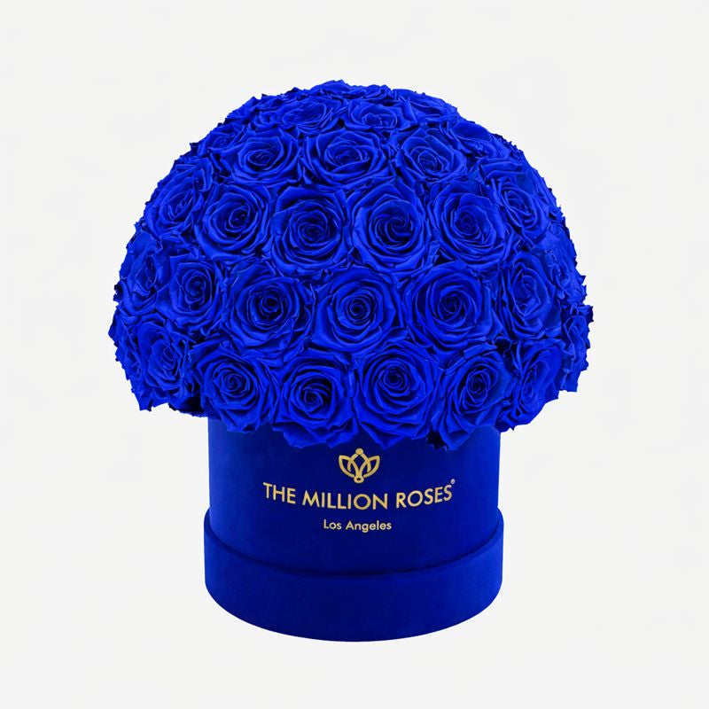 Boîte Superdome classique en daim bleu royal | Roses bleu clair