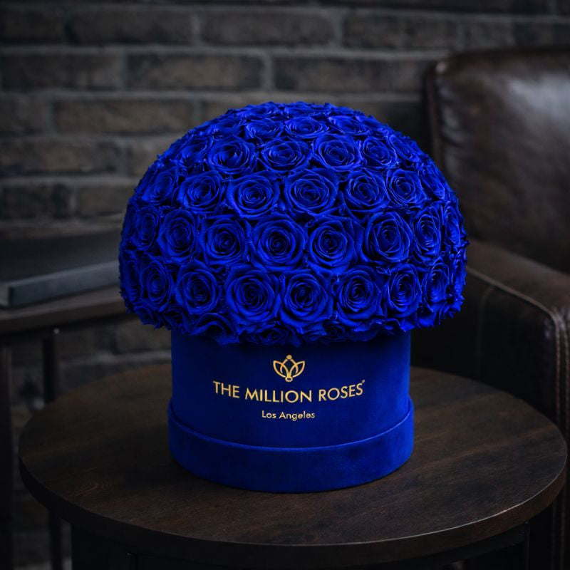 Boîte Superdome en daim bleu royal suprême | Roses bleu clair