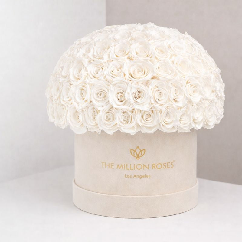 Boîte Superdome en daim bleu royal suprême | Roses blanches