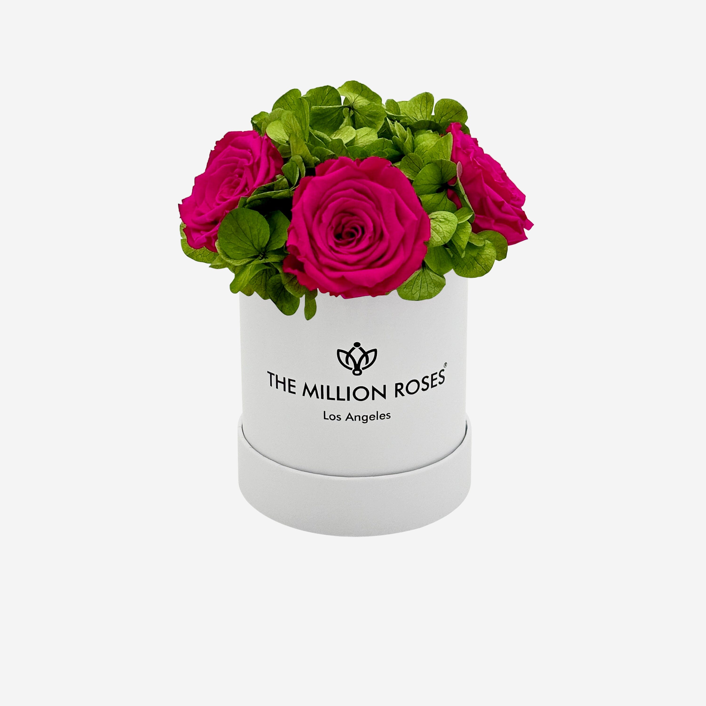 Caja de jardín blanca básica | Rosas rosadas fuertes