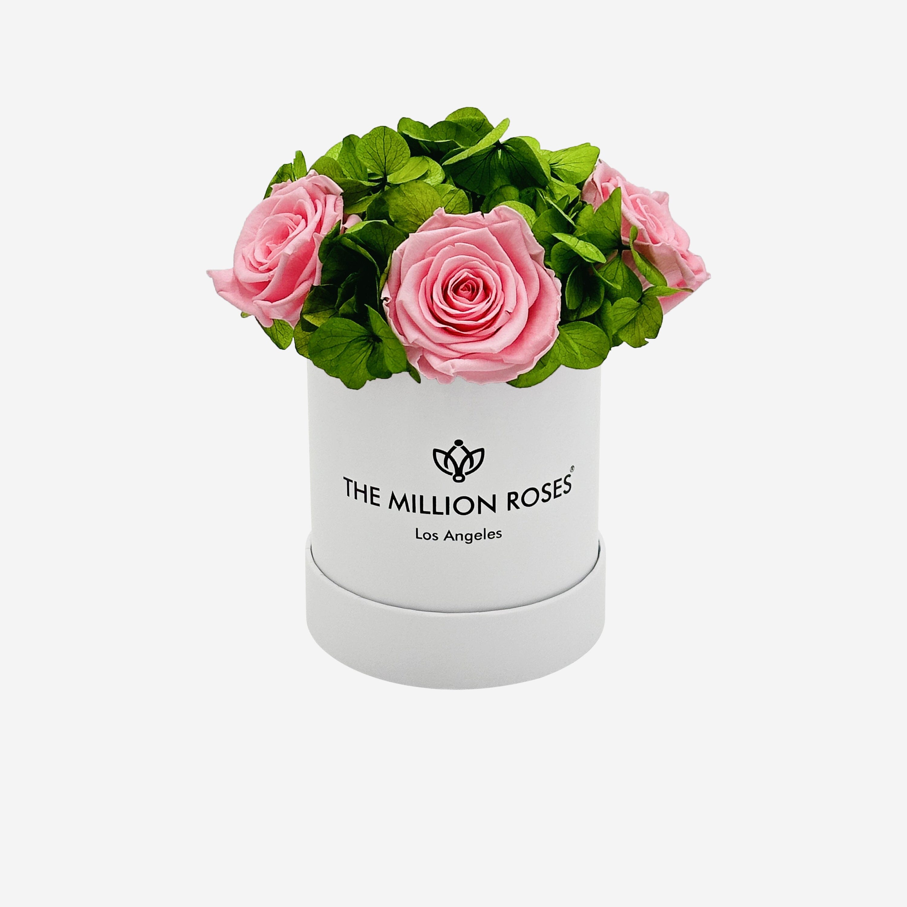 Caja de jardín blanca básica | Rosas Rosa Claro