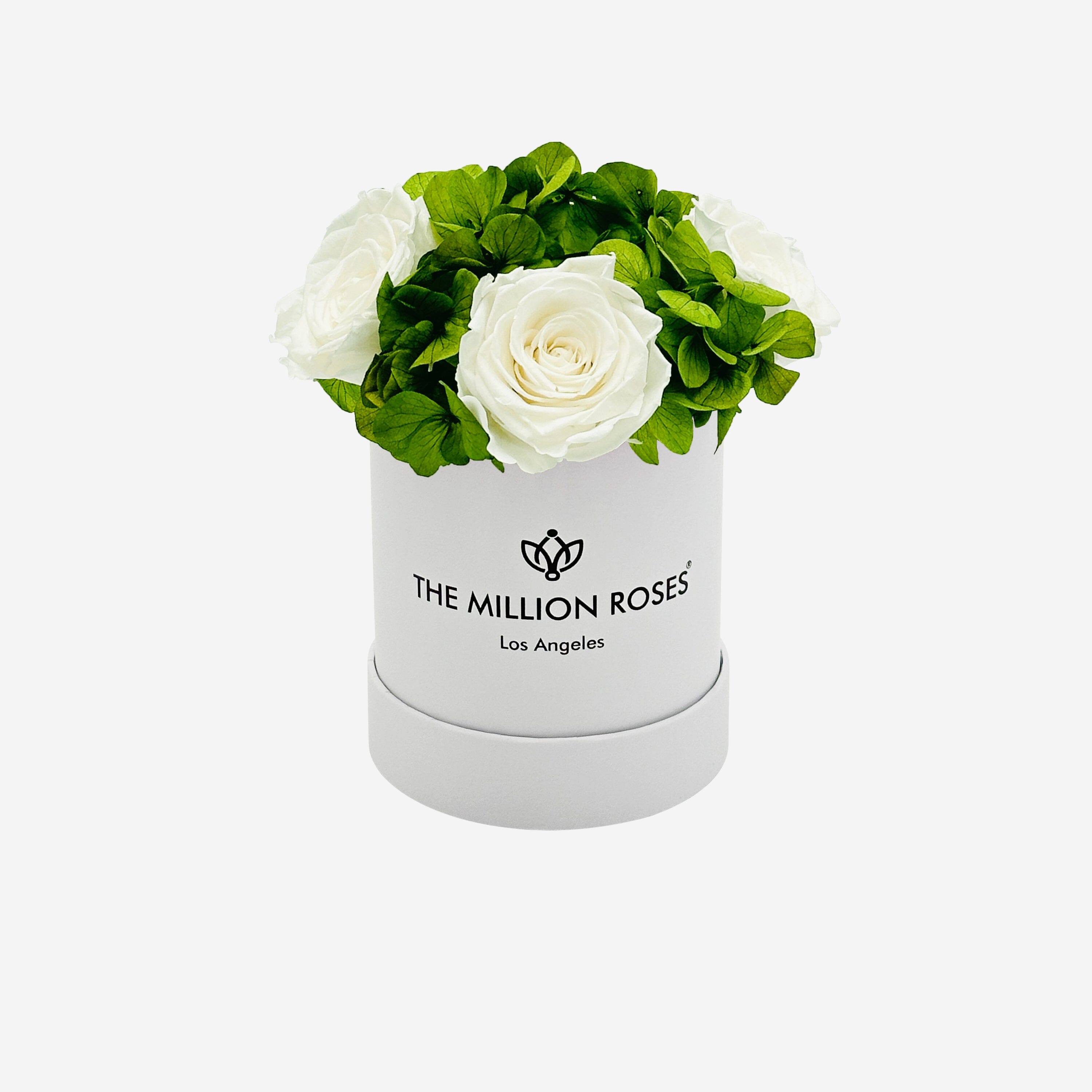 Boîte de jardin blanche de base | Roses blanches