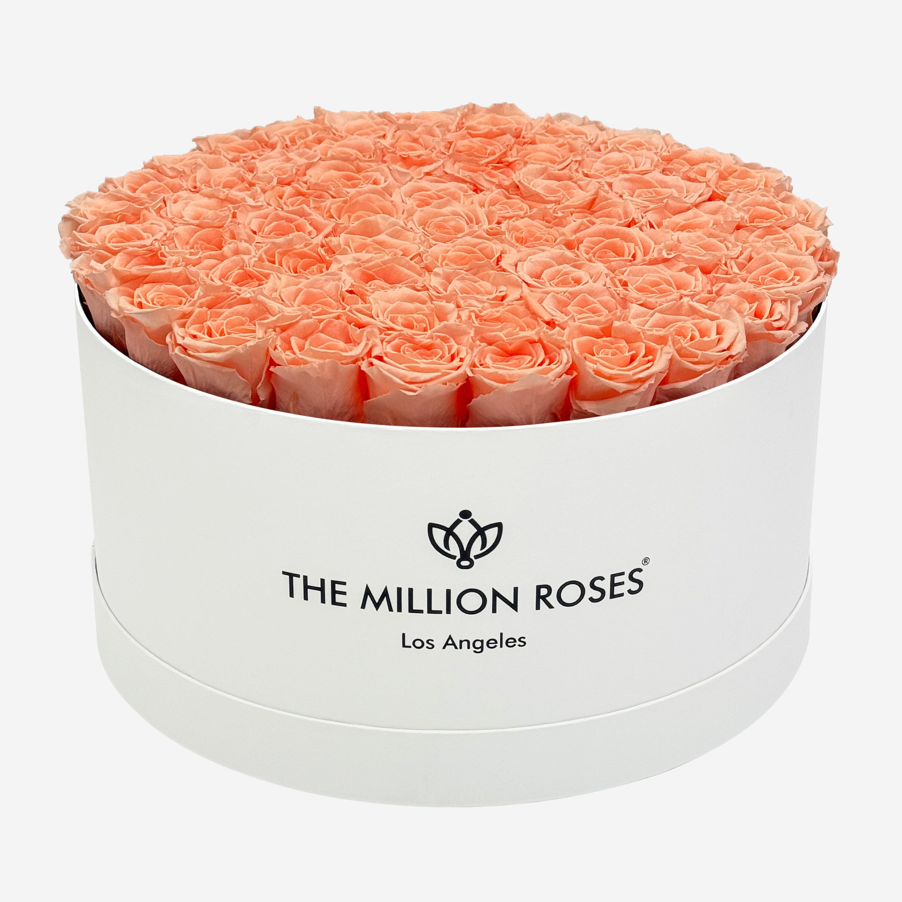 Deluxe White Box | Peach Roses