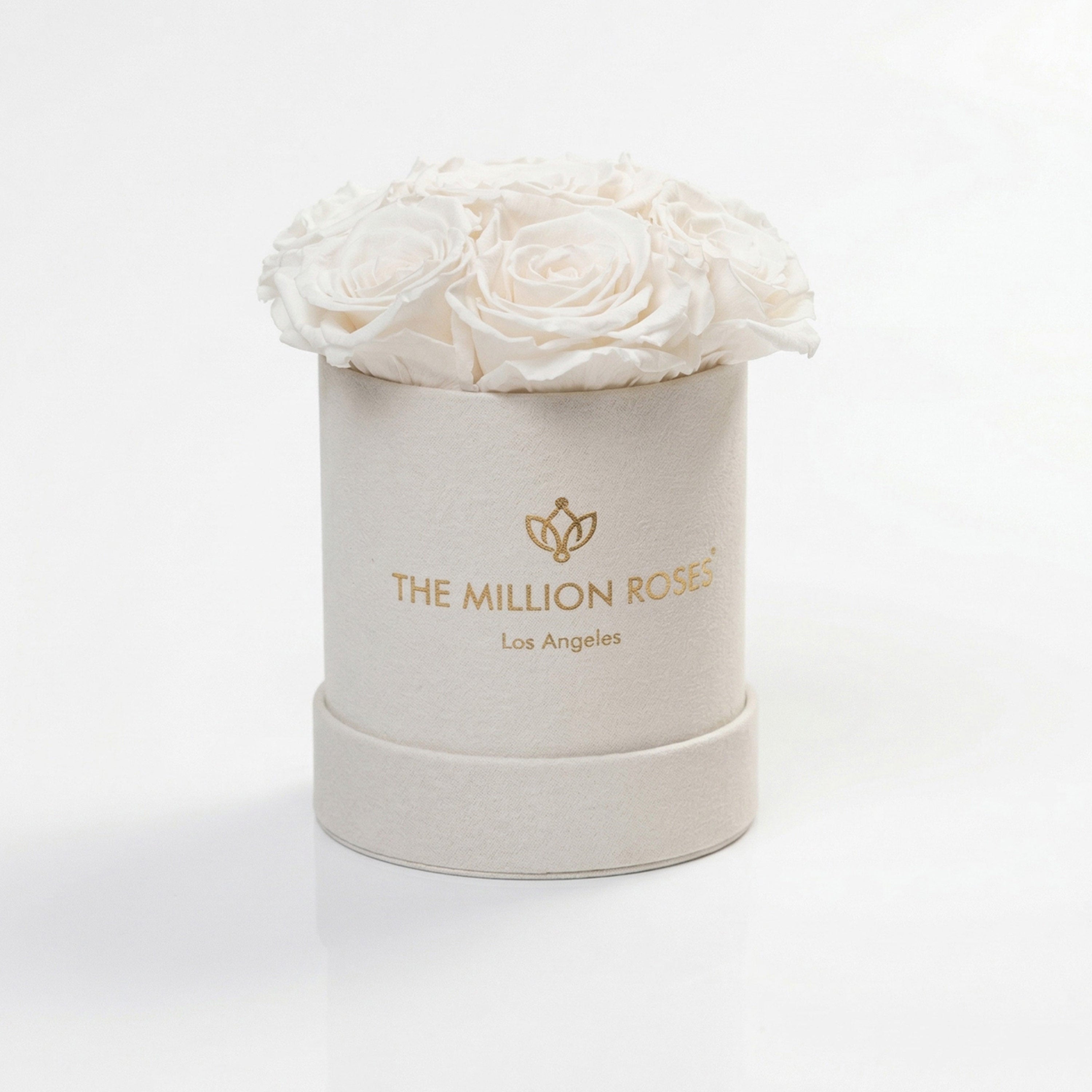 Basic Beige Suede Box | White Roses