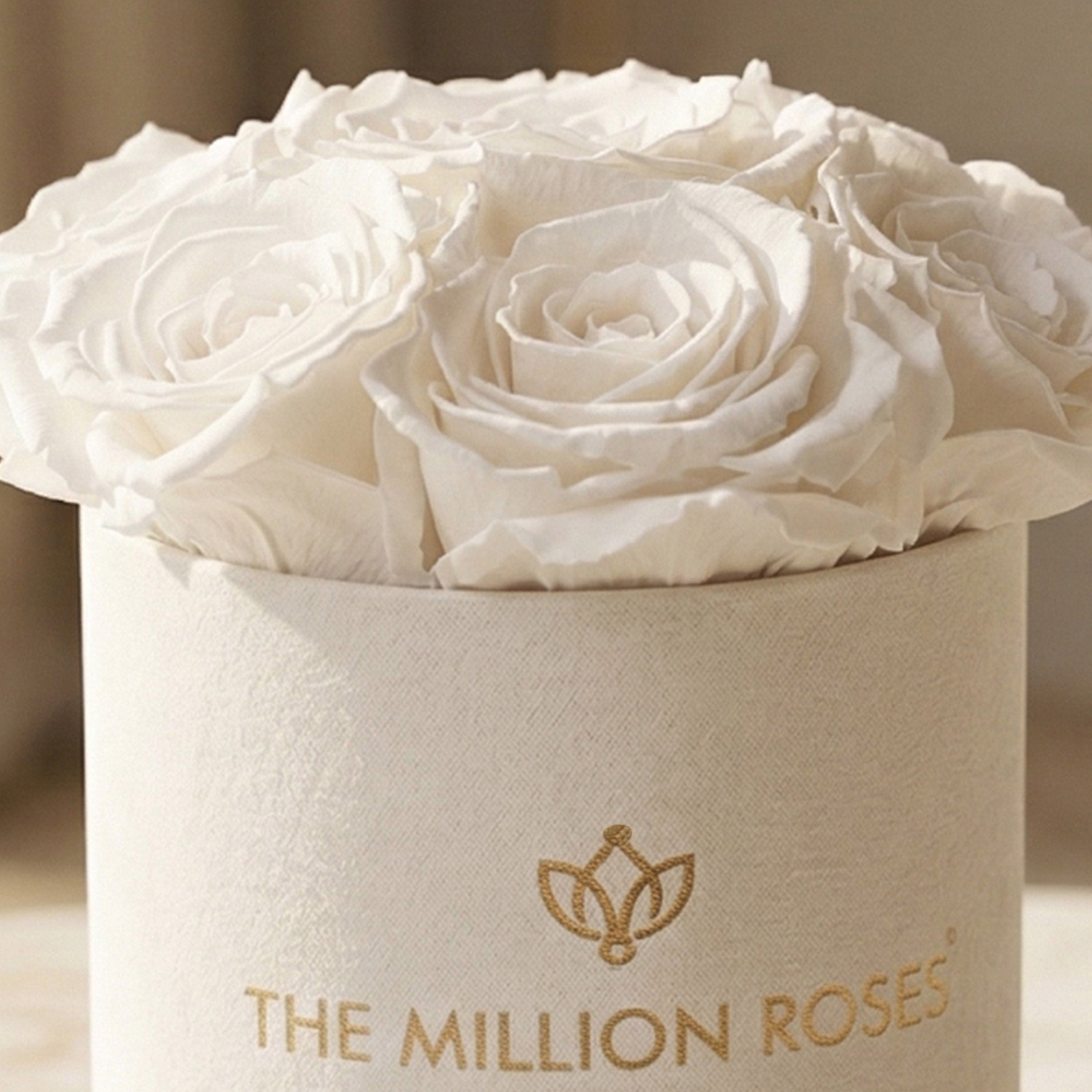 Basic Beige Suede Box | White Roses