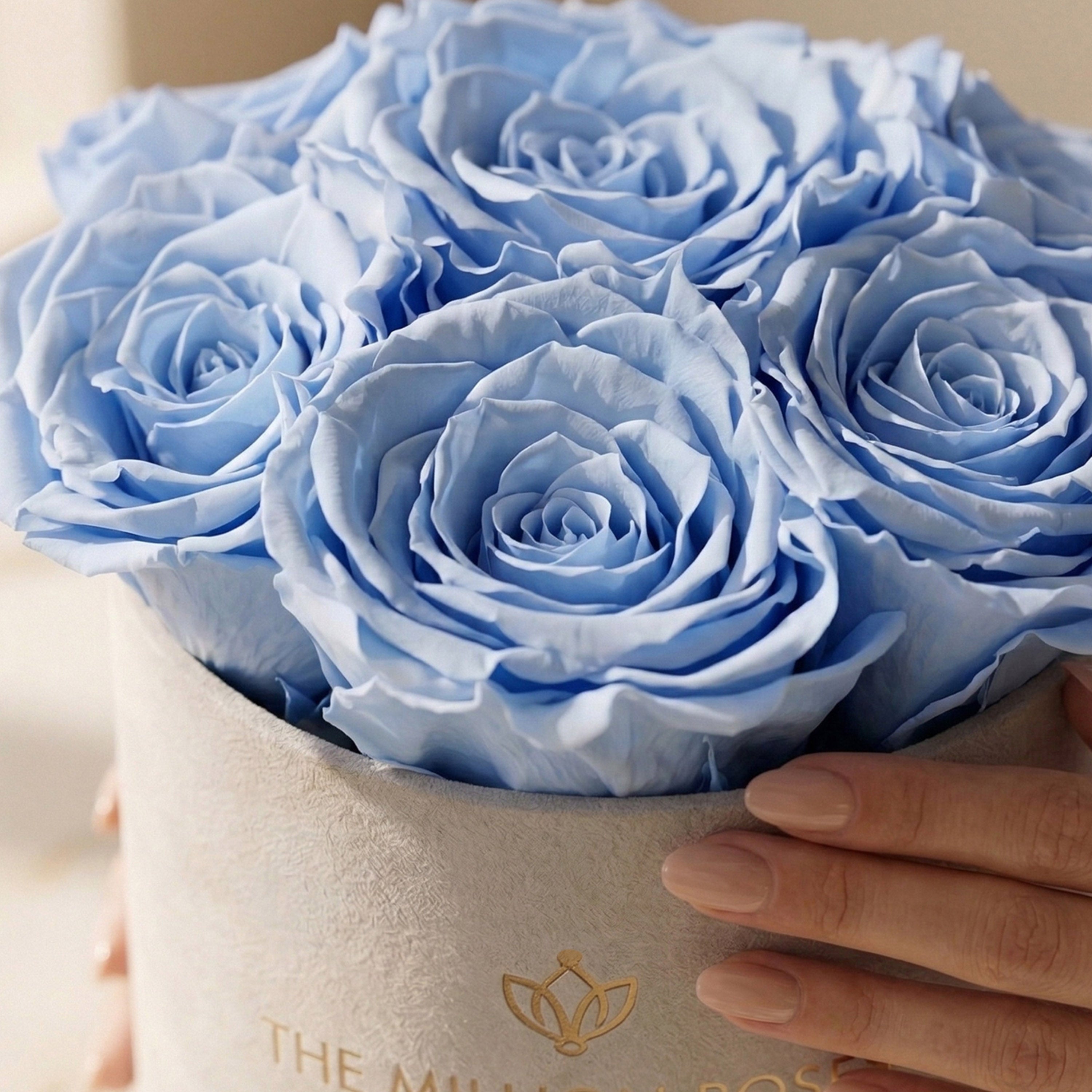 Basic Beige Suede Box | Light Blue Roses