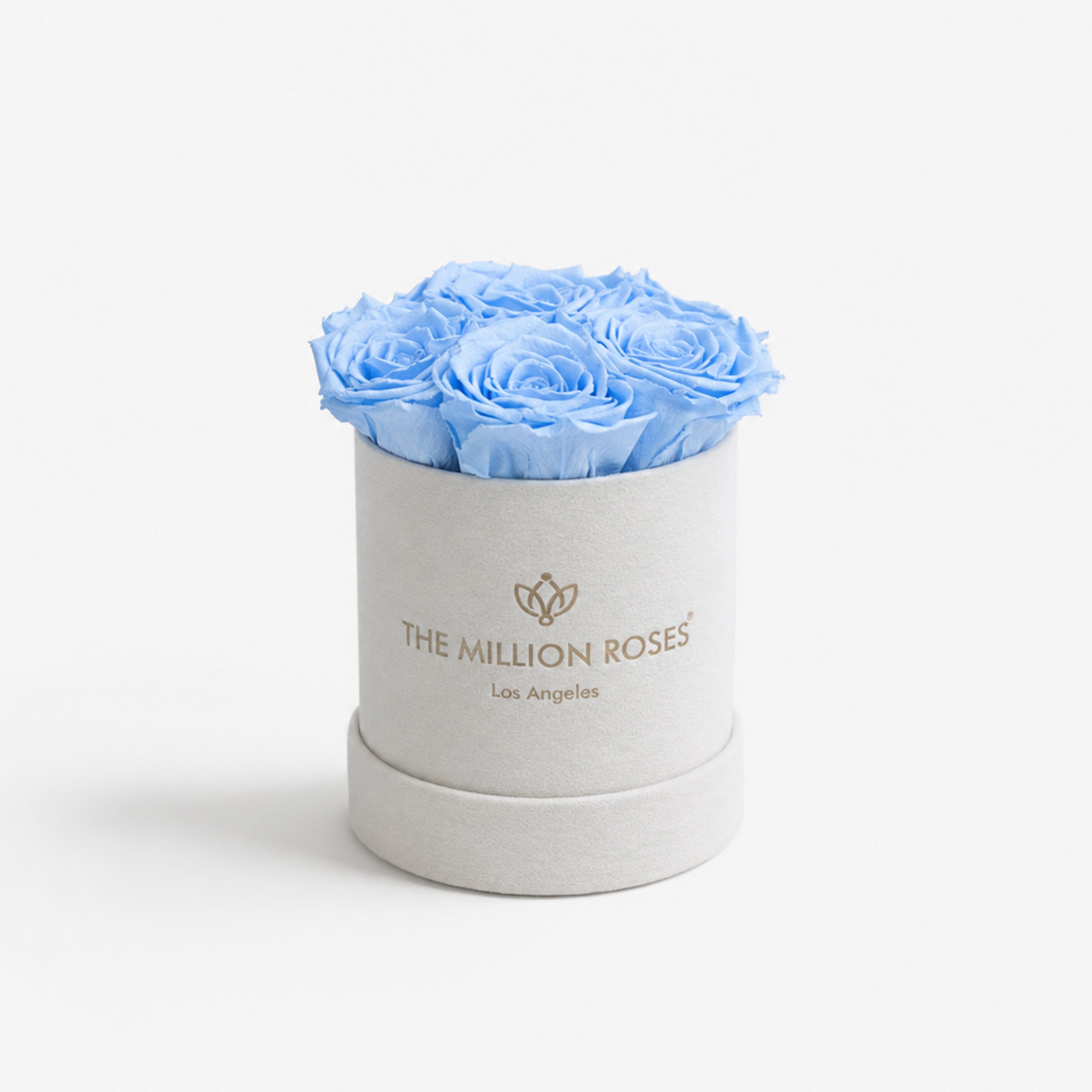 Basic Beige Suede Box | Light Blue Roses