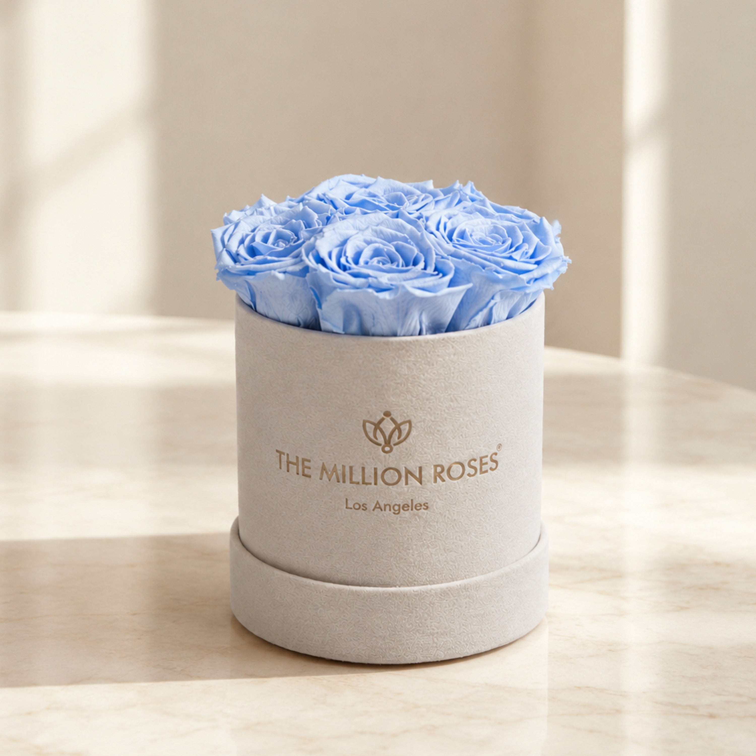 Basic Beige Suede Box | Light Blue Roses