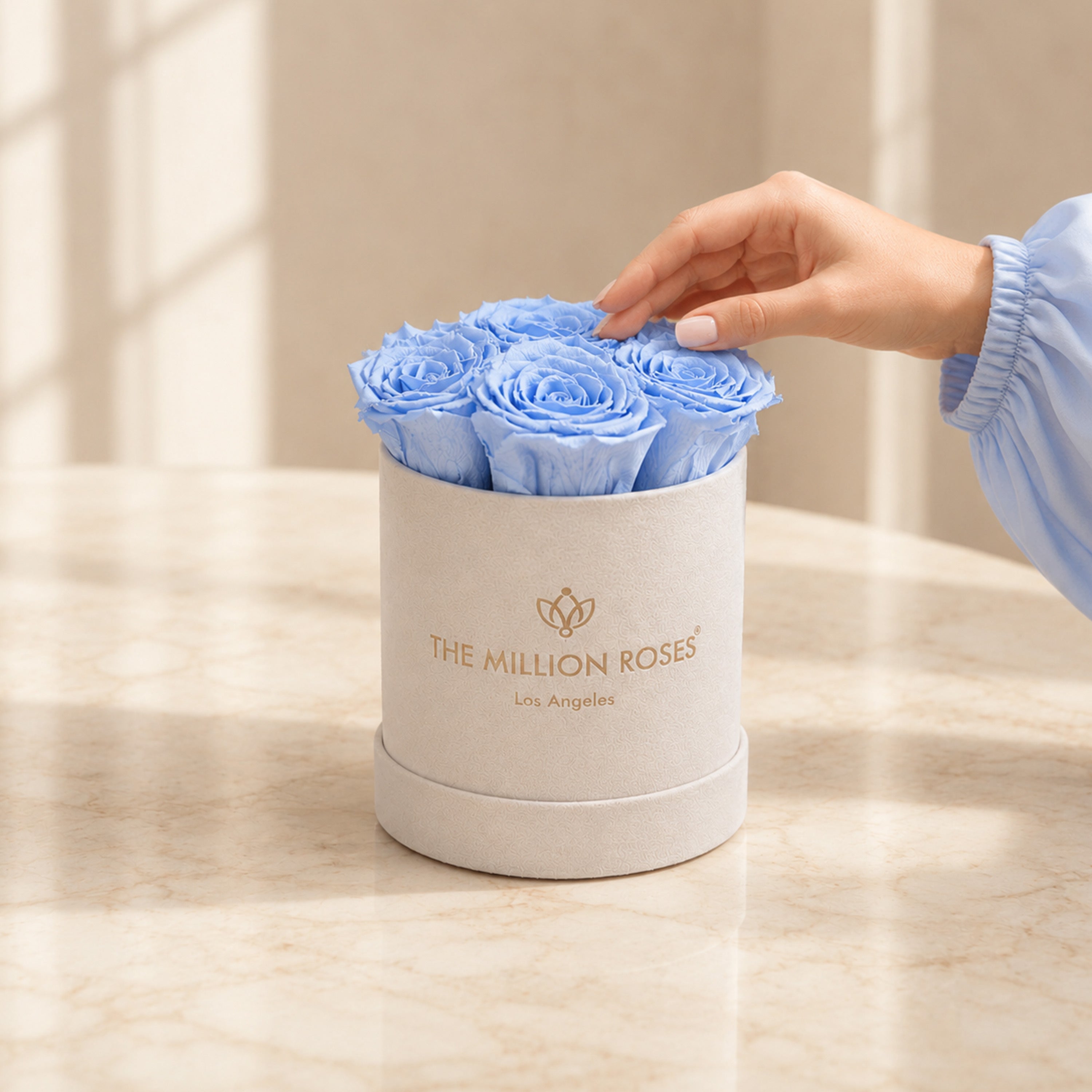 Basic Beige Suede Box | Light Blue Roses
