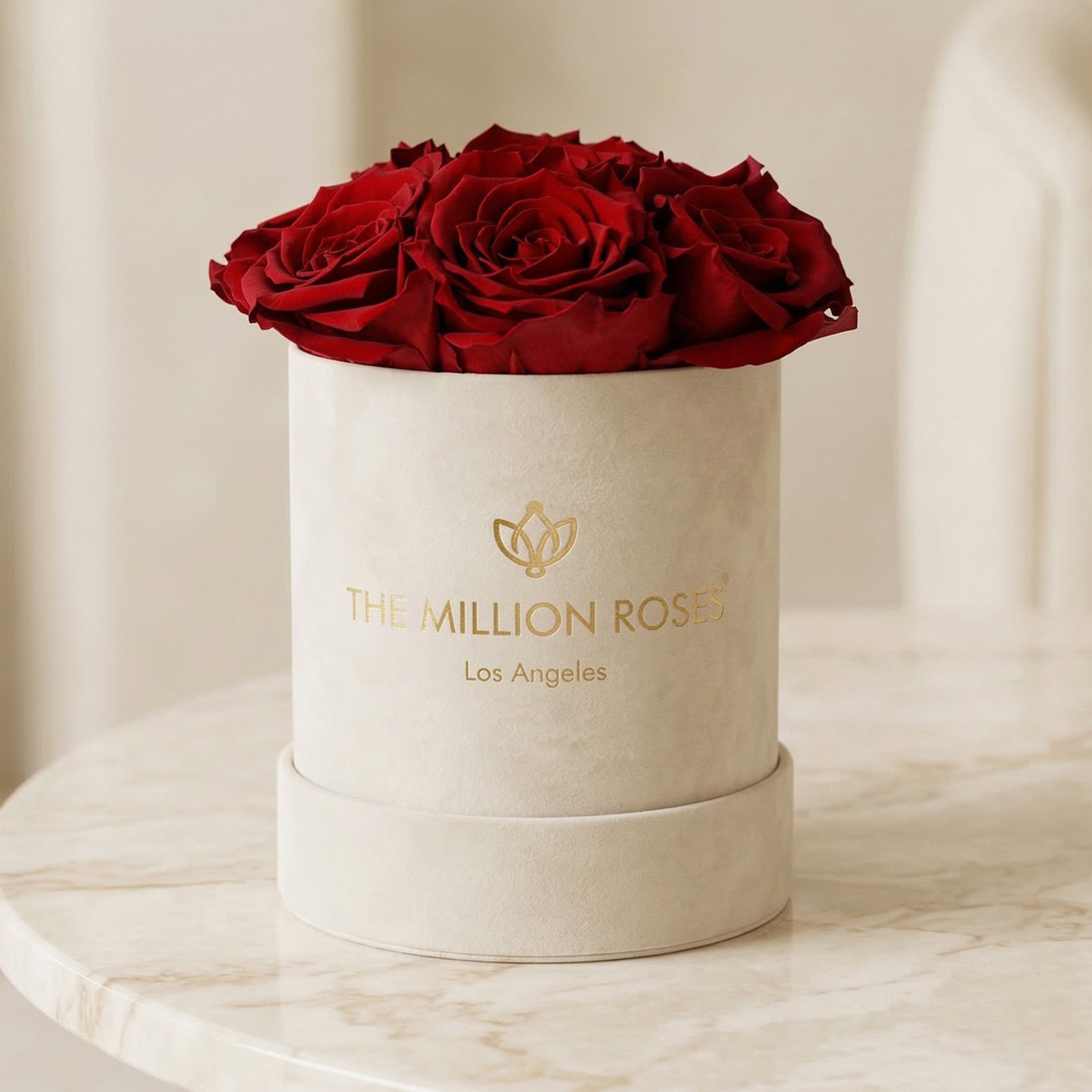 Basic Beige Suede Box | Red Roses