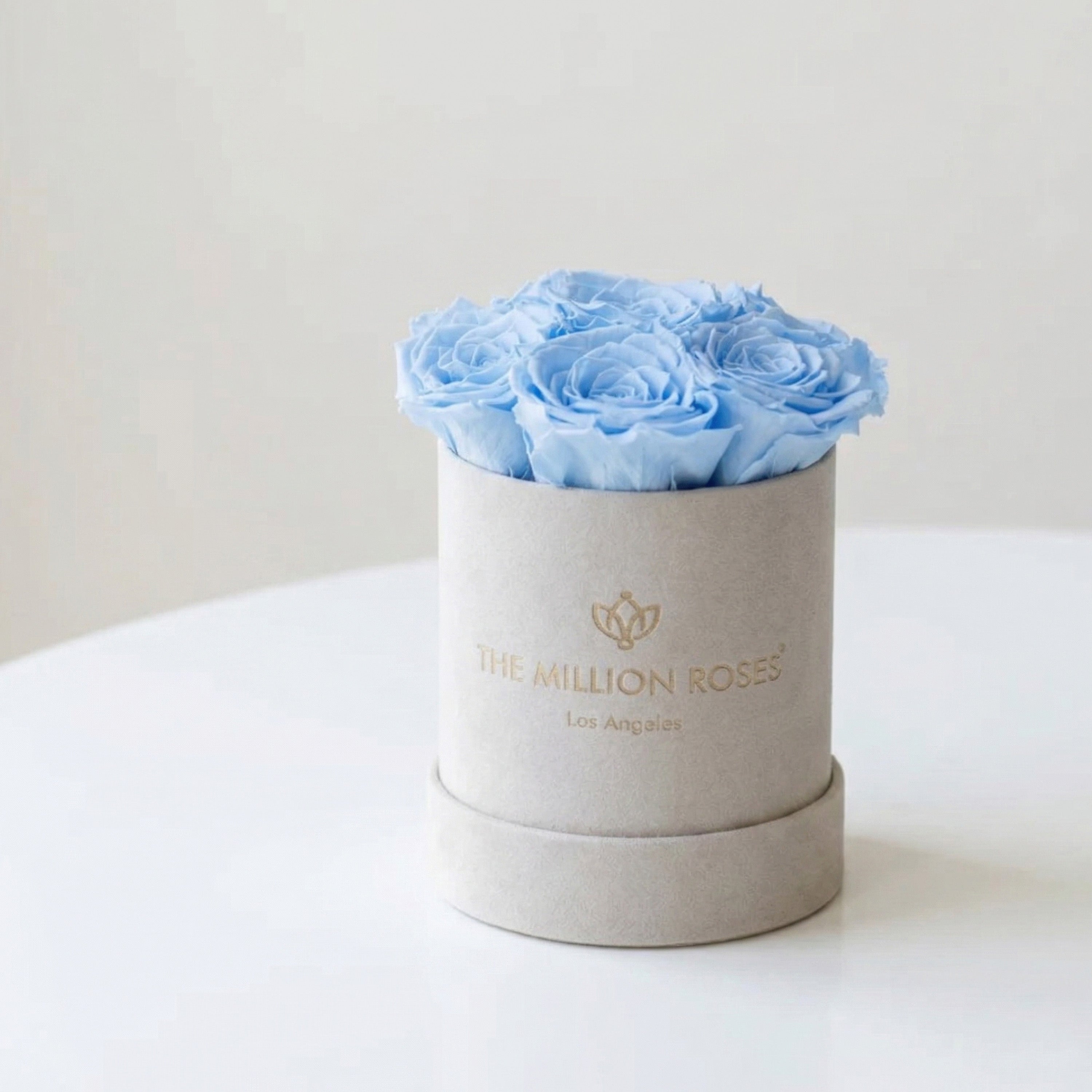 Basic Beige Suede Box | Light Blue Roses