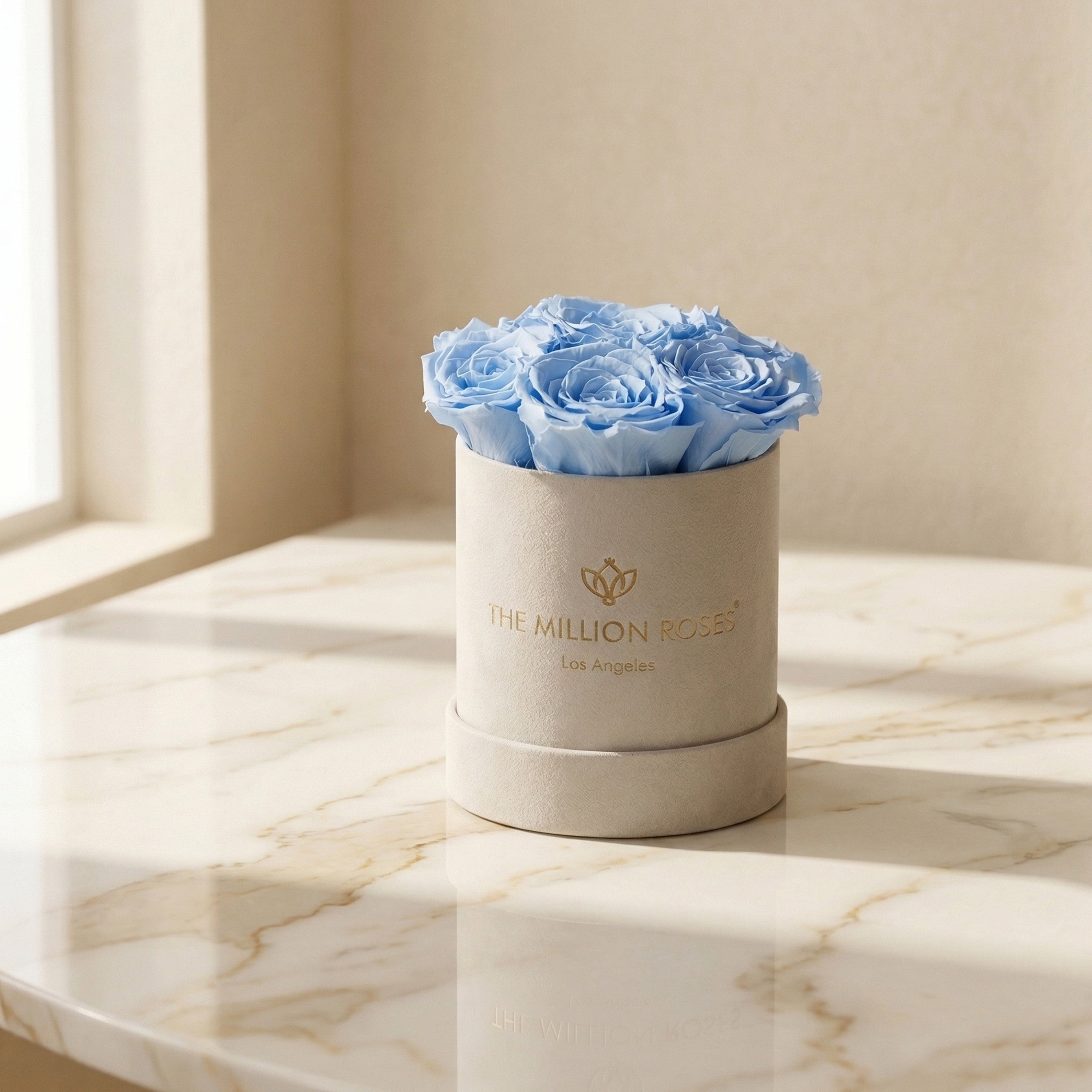 Basic Beige Suede Box | Light Blue Roses