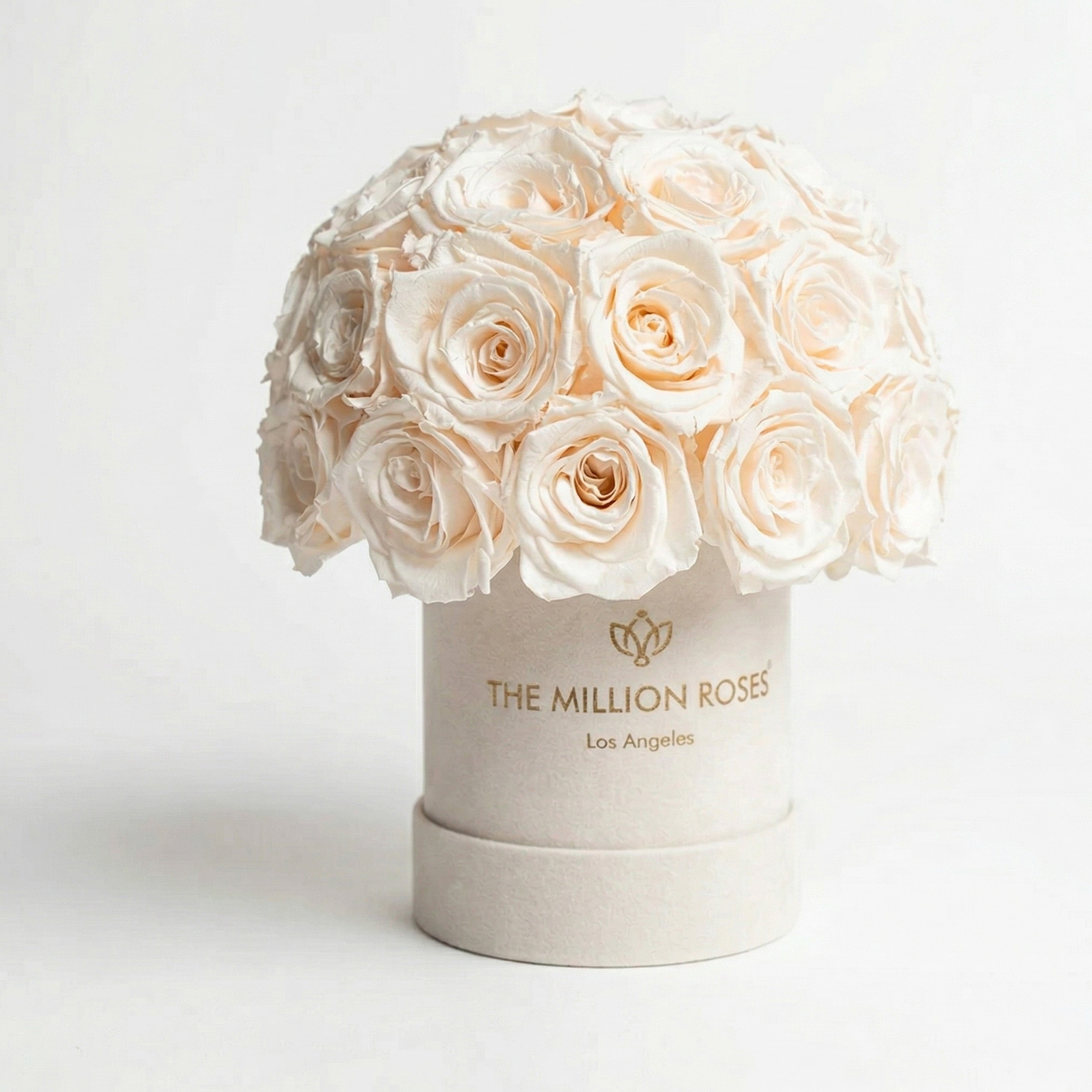 Scatola Superdome in pelle scamosciata beige di base | Rose Bianche