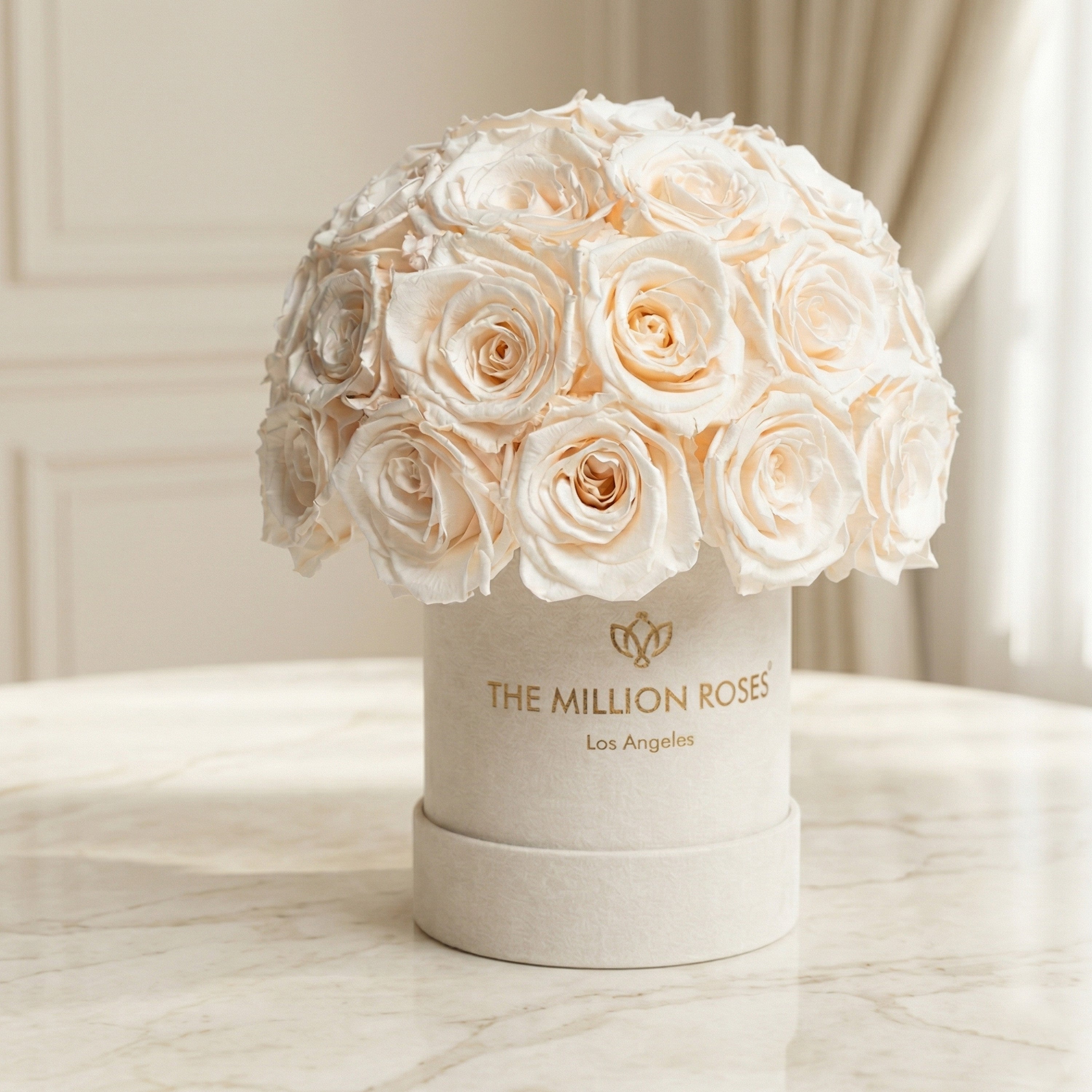 Scatola Superdome in pelle scamosciata beige di base | Rose Bianche