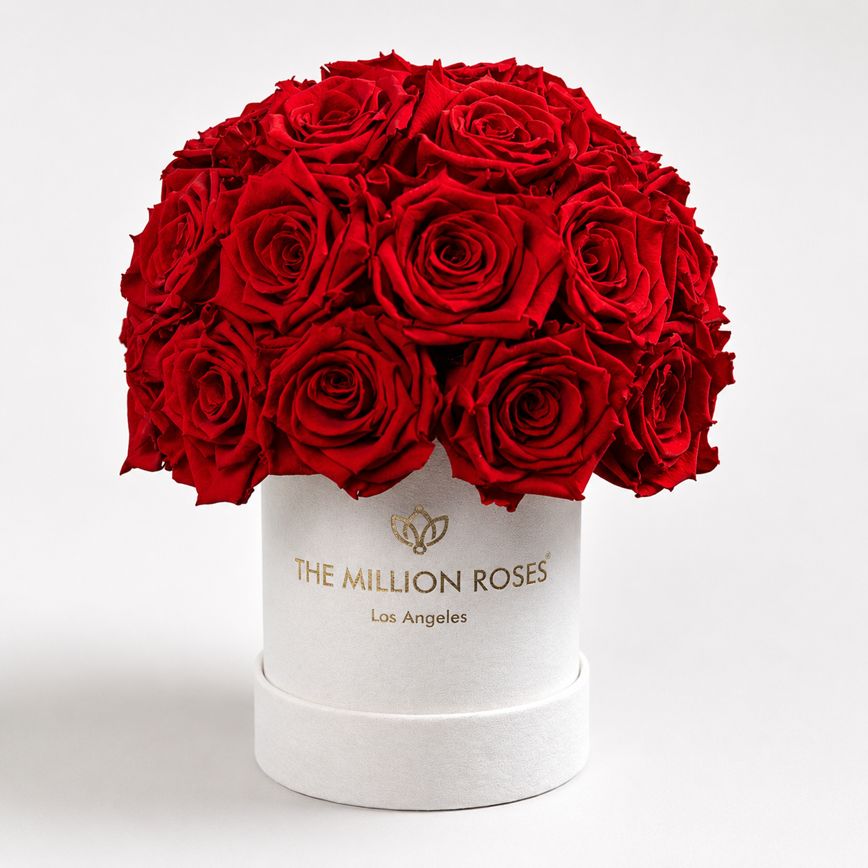 Basic Beige Suede Superdome Box | Red Roses