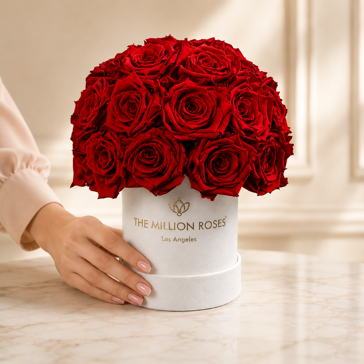 Basic Beige Suede Superdome Box | Red Roses