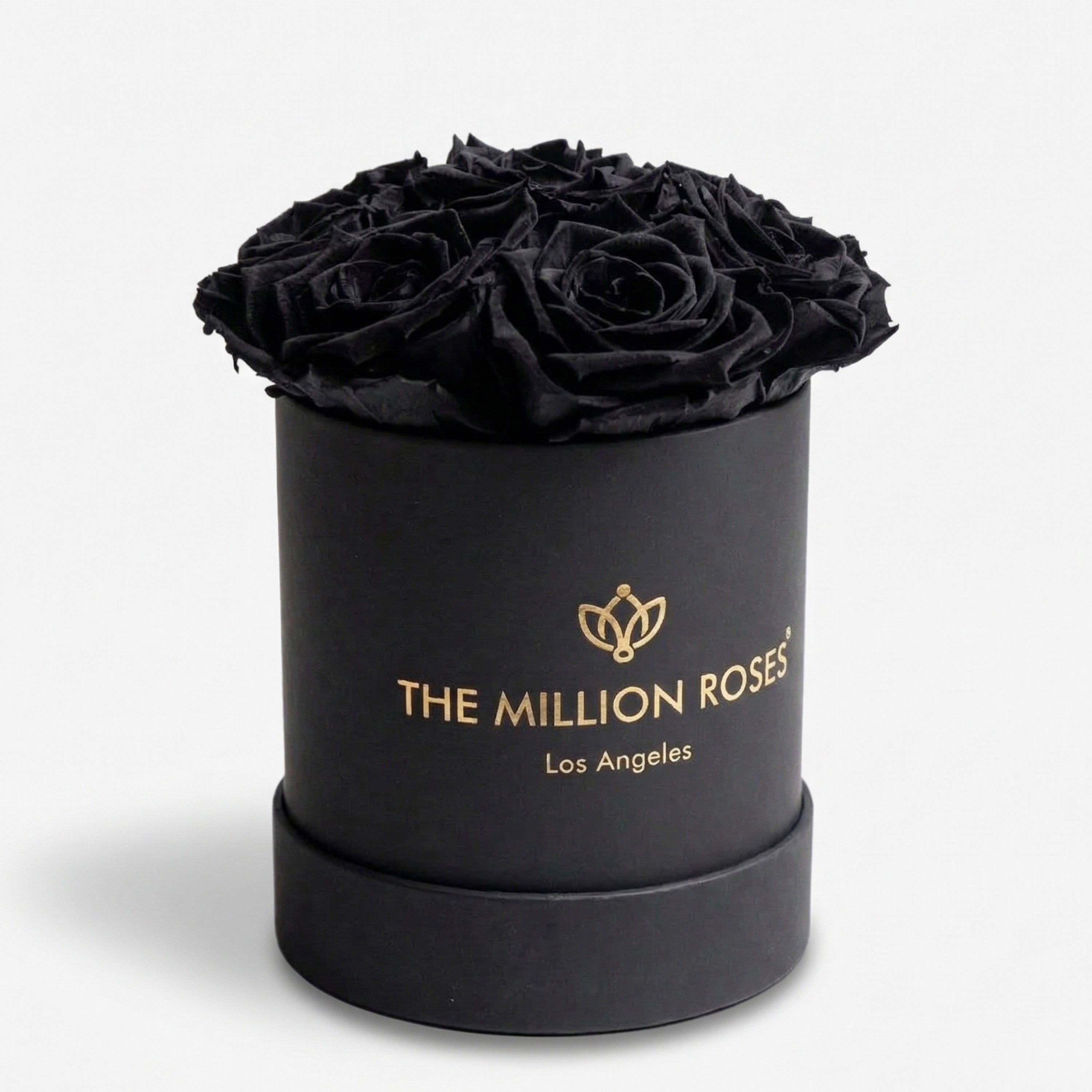 Basic Black Box | Black Roses