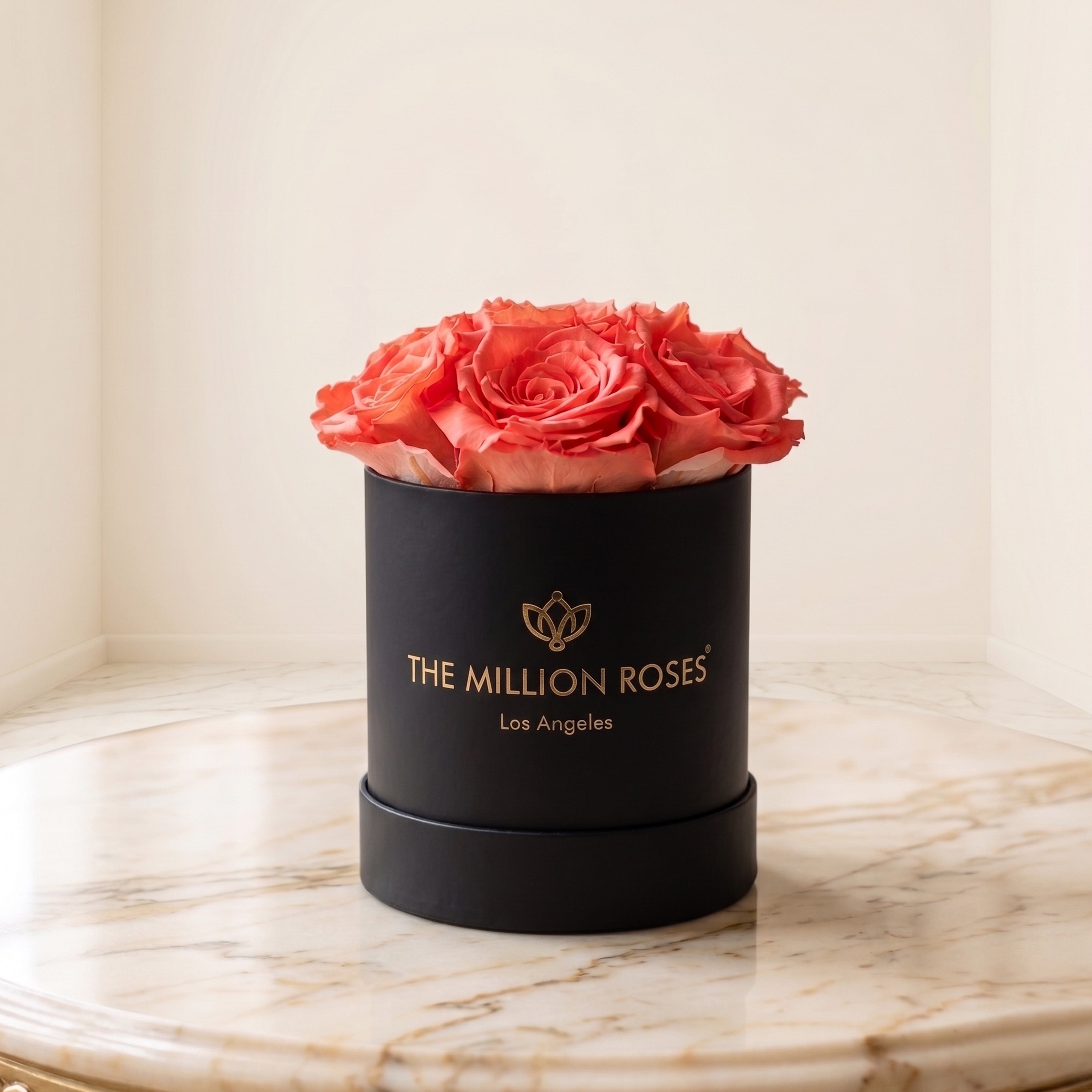 Basic Black Box | Coral Roses