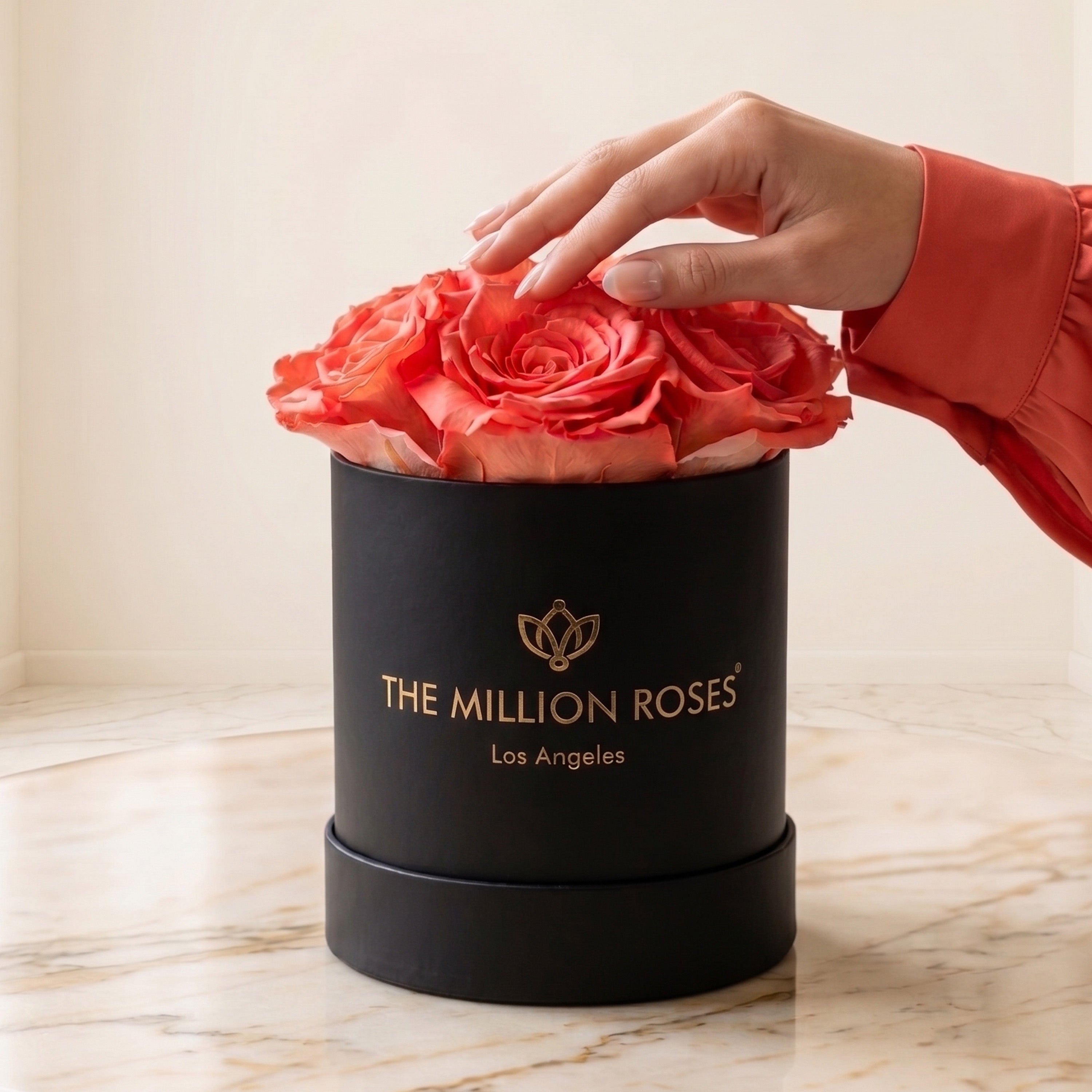 Basic Black Box | Coral Roses