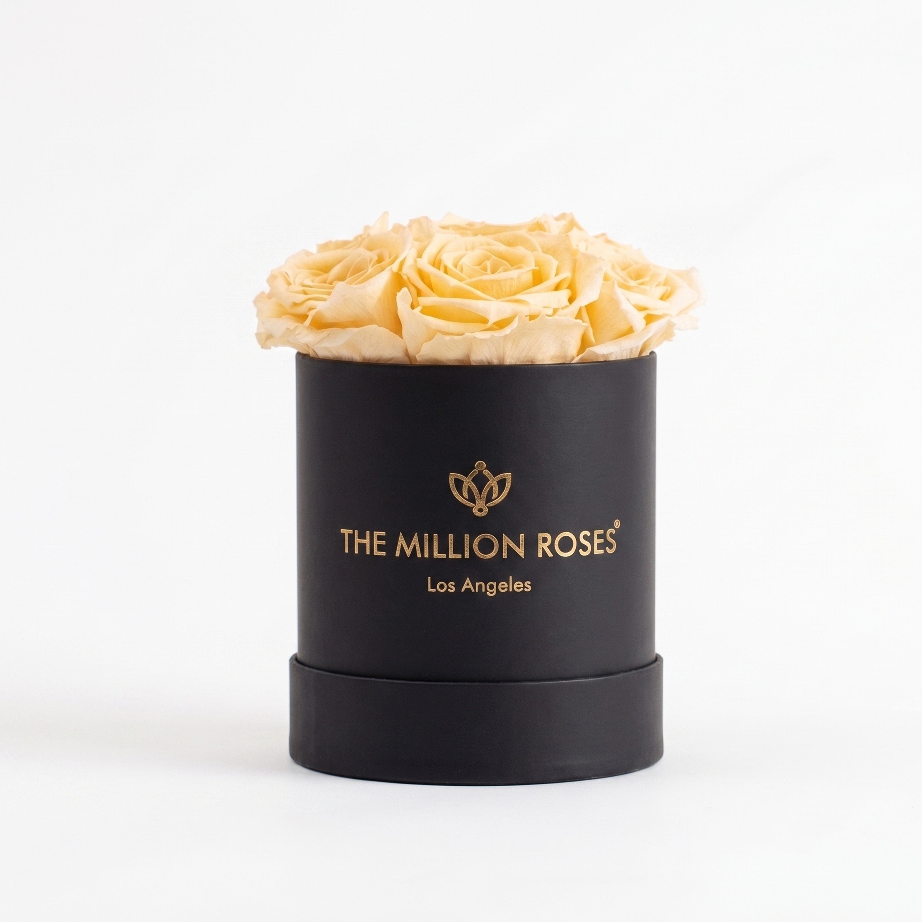 Basic Black Box | Ivory Roses