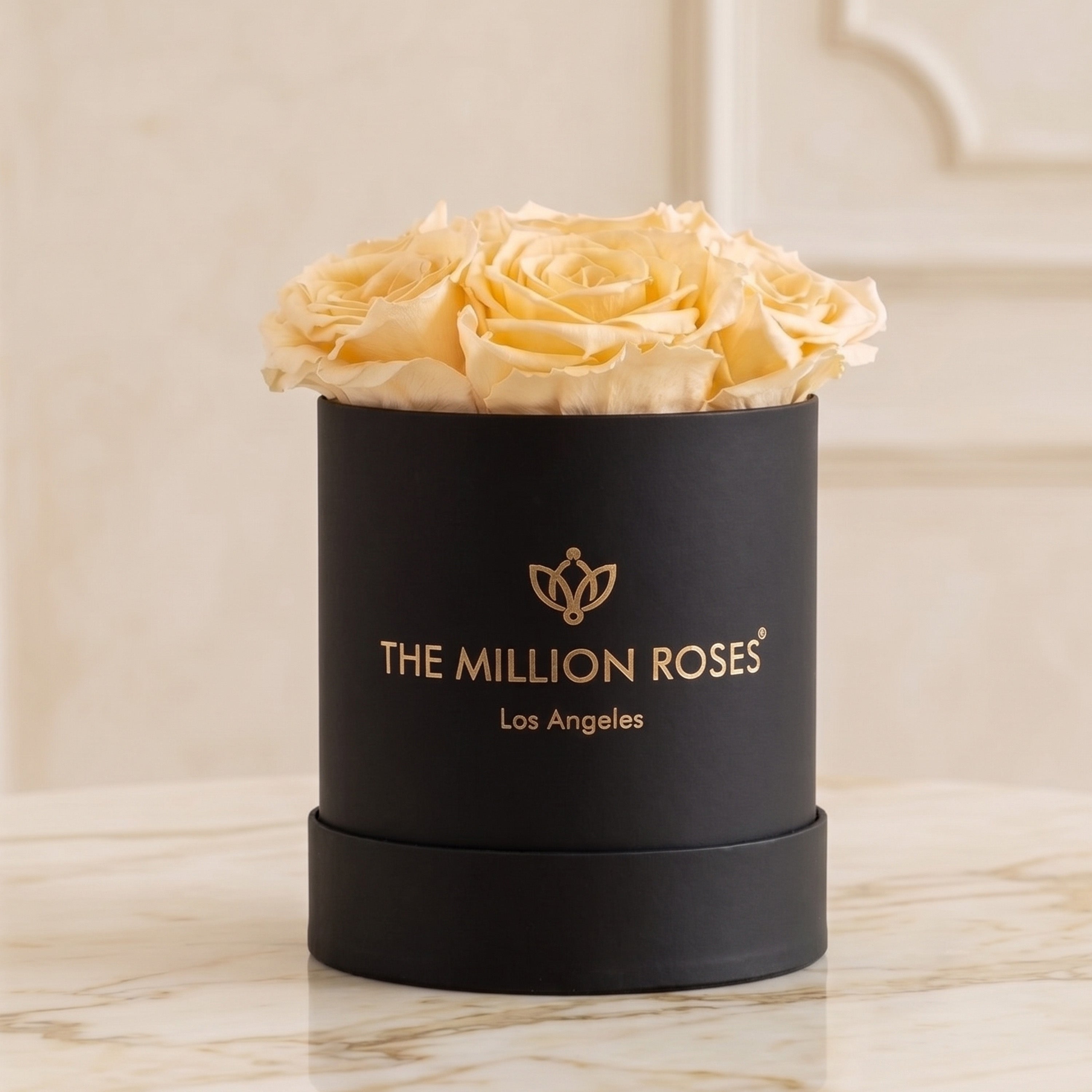 Basic Black Box | Ivory Roses