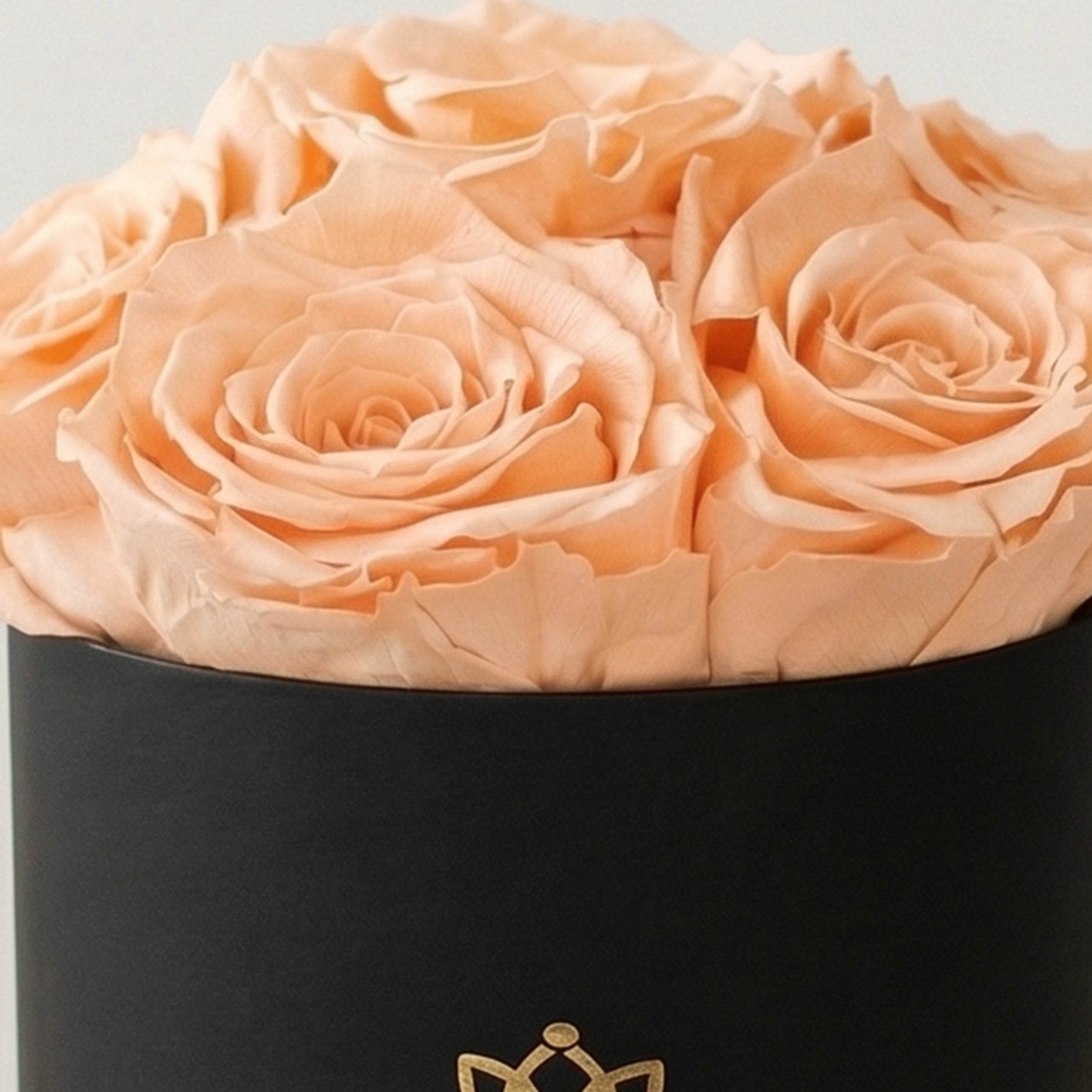 Basic Black Box | Peach Roses