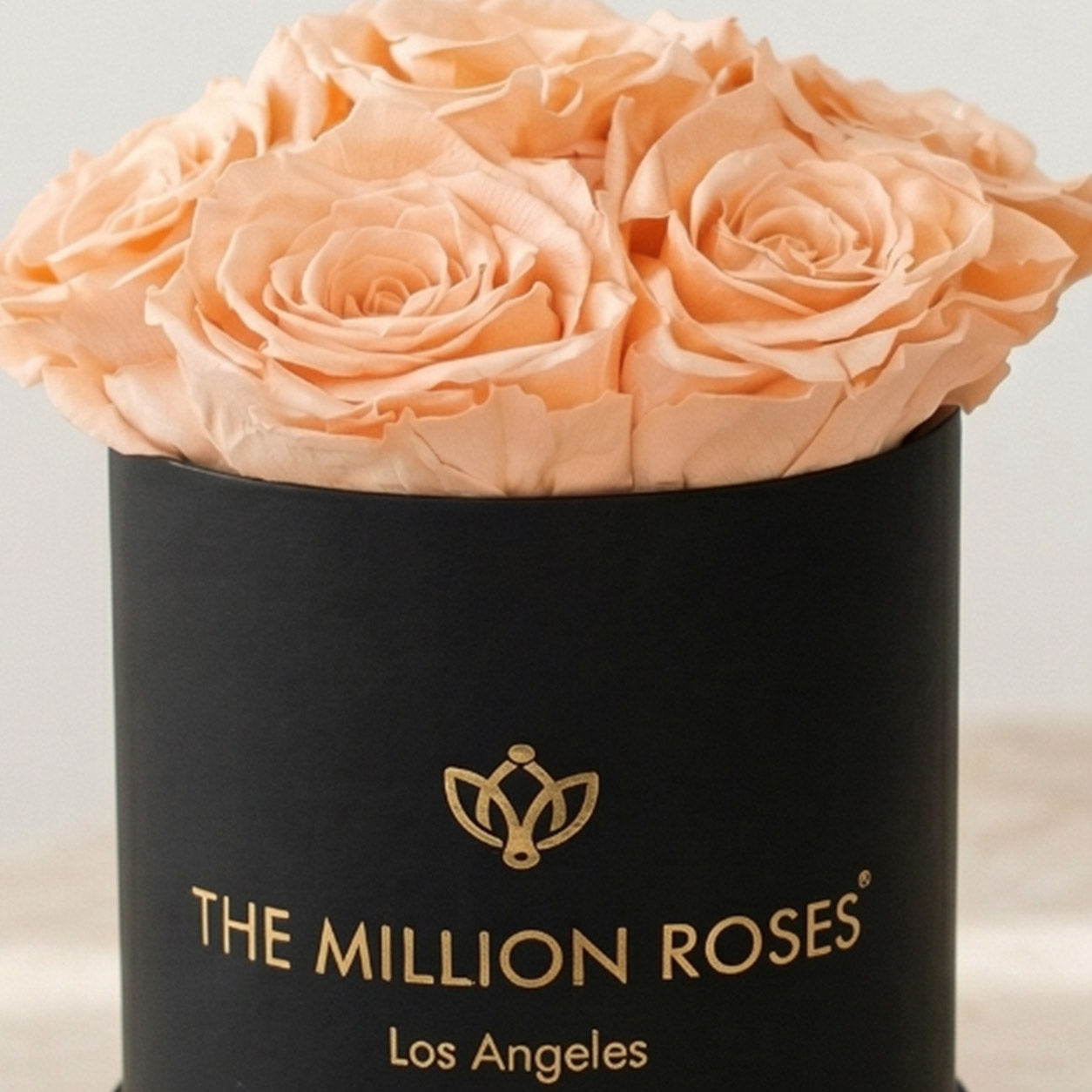 Essence Black Box | Peach Roses