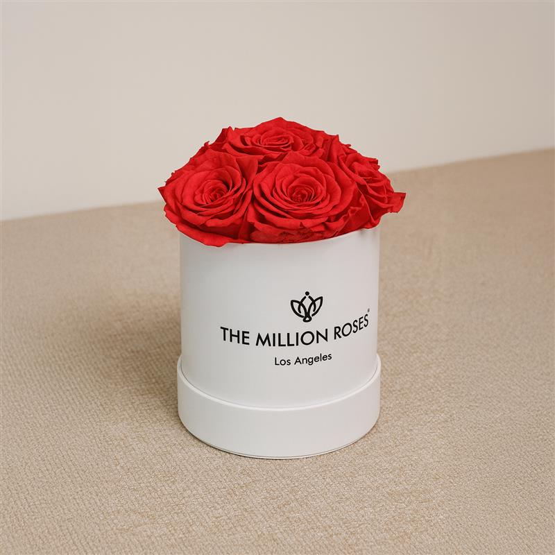 Basic White Box | Coral Roses