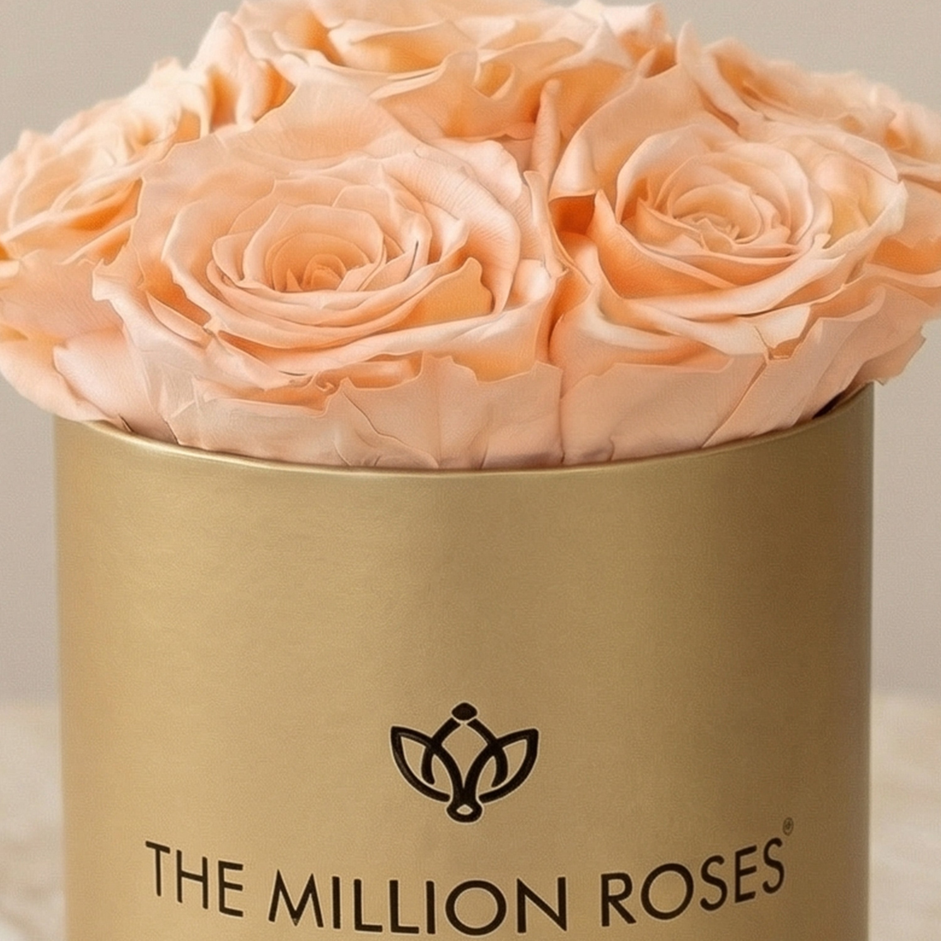 Basic Gold Box | Peach Roses