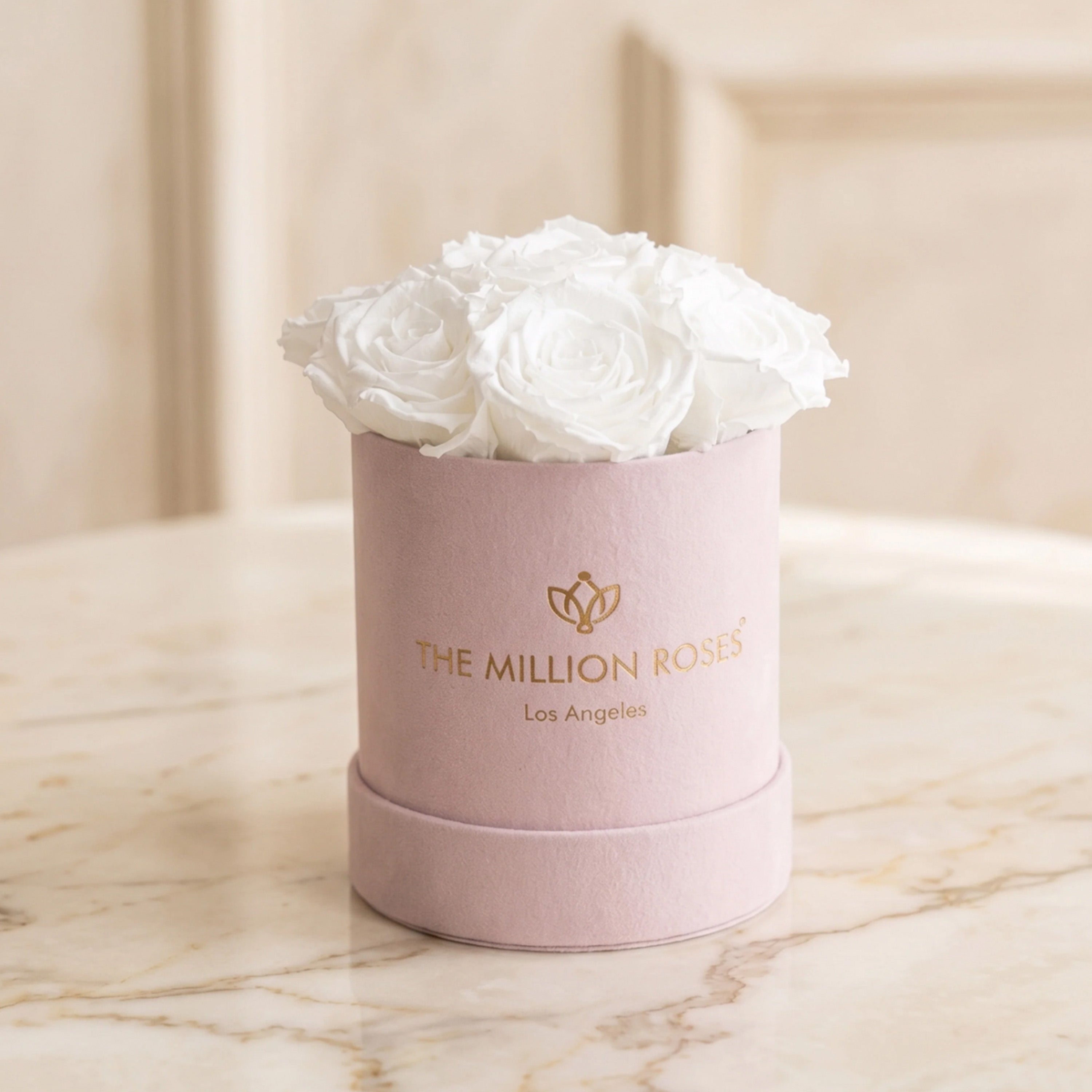 Basic Light Pink Suede Box | White Roses