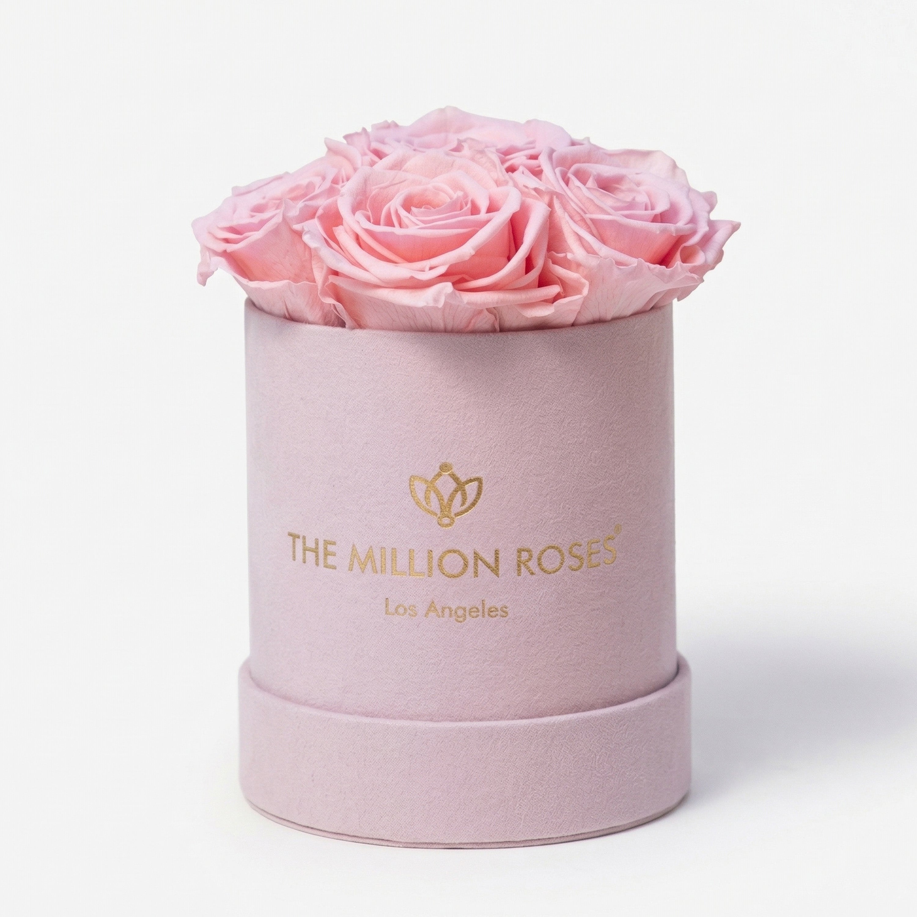 Basic Light Pink Suede Box | Light Pink Roses