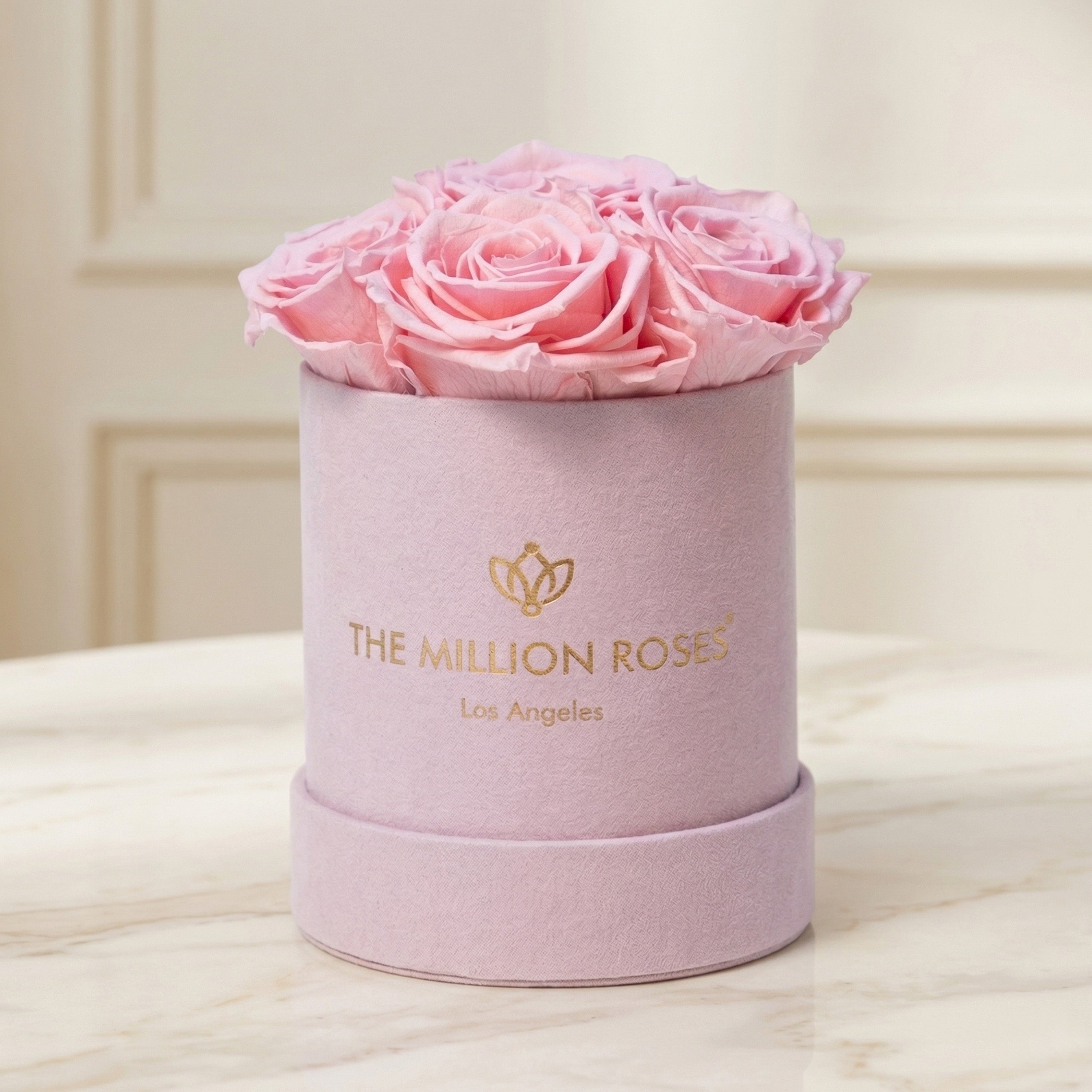 Basic Light Pink Suede Box | Light Pink Roses