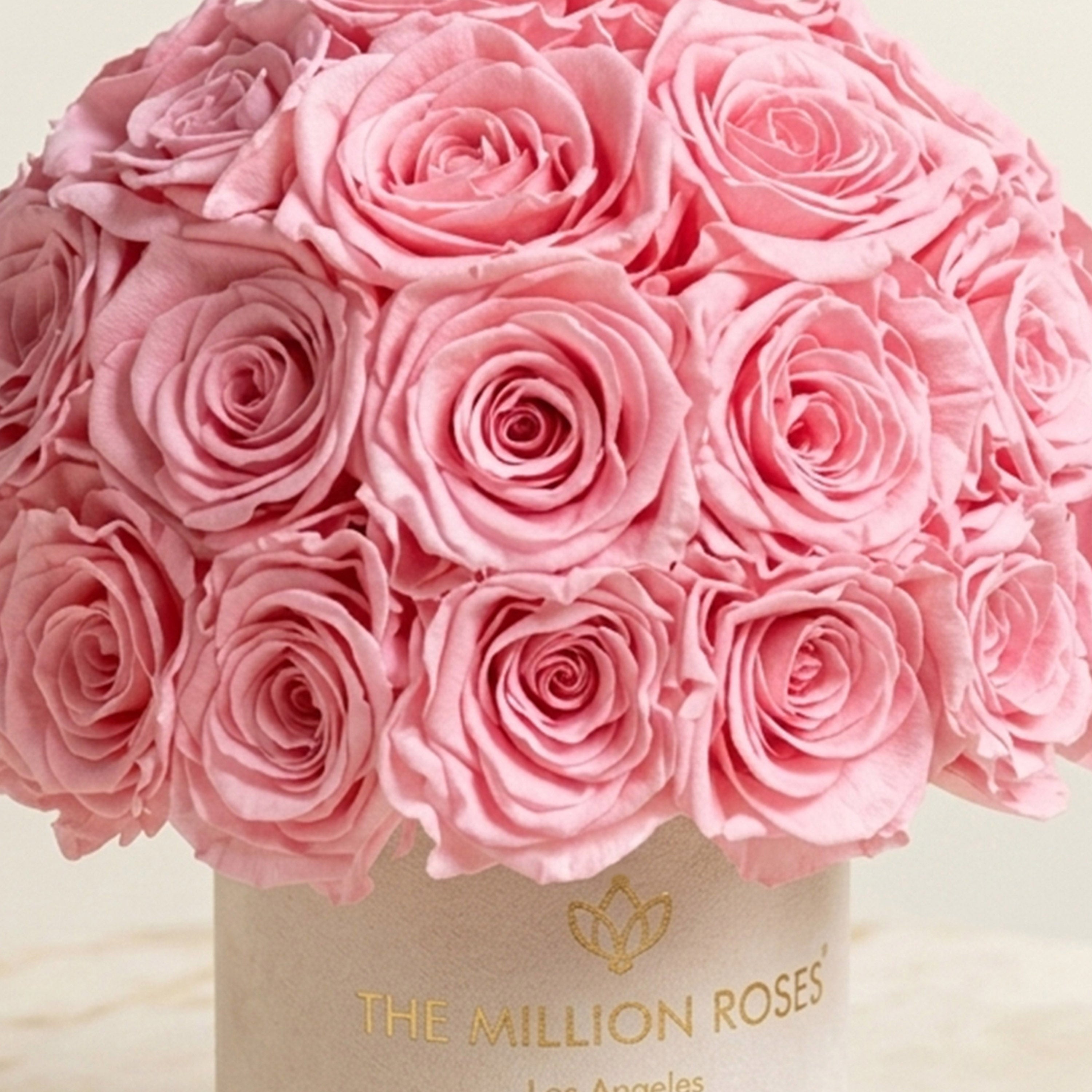 Basic Beige Suede Superdome Box | Light Pink Roses