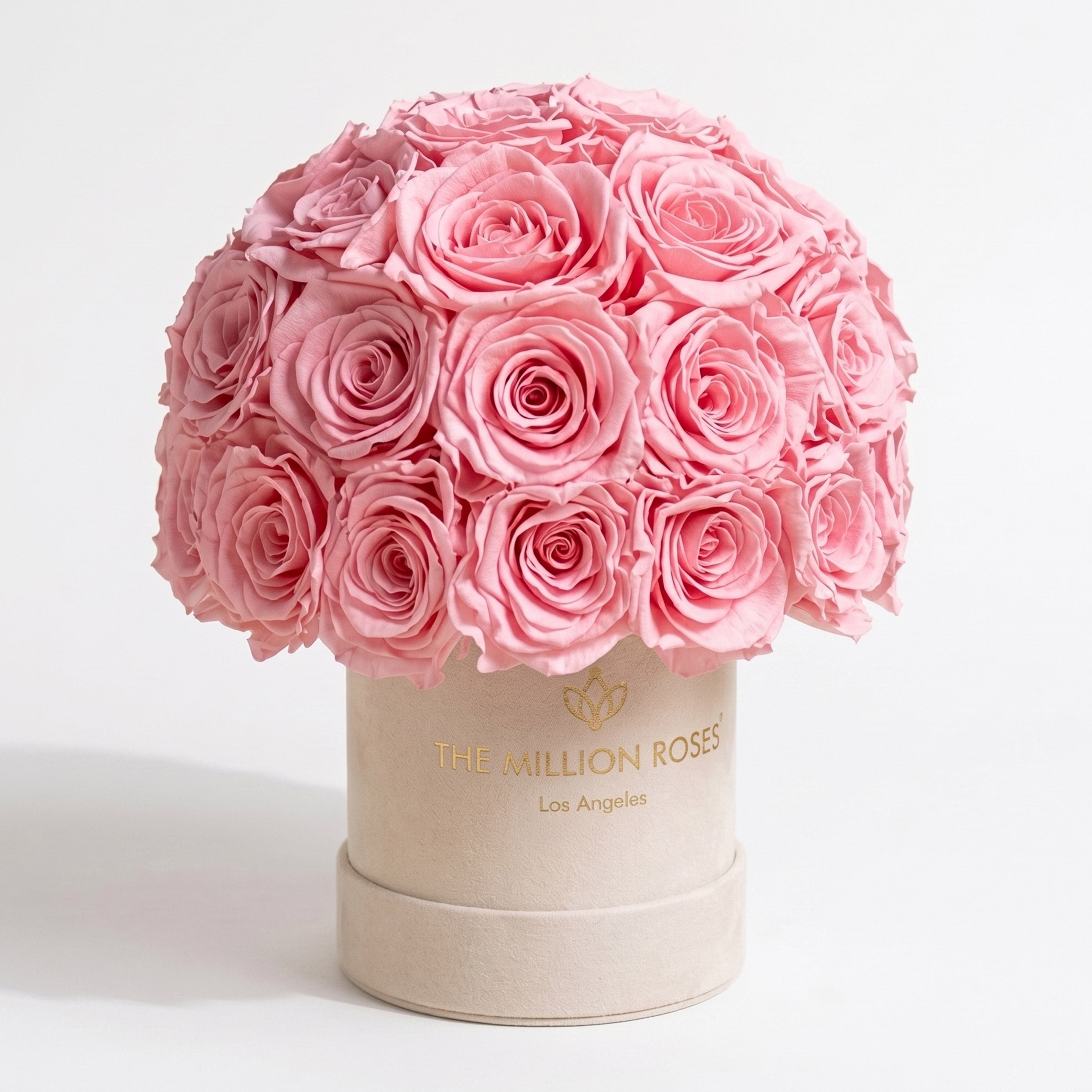 Basic Beige Suede Superdome Box | Light Pink Roses