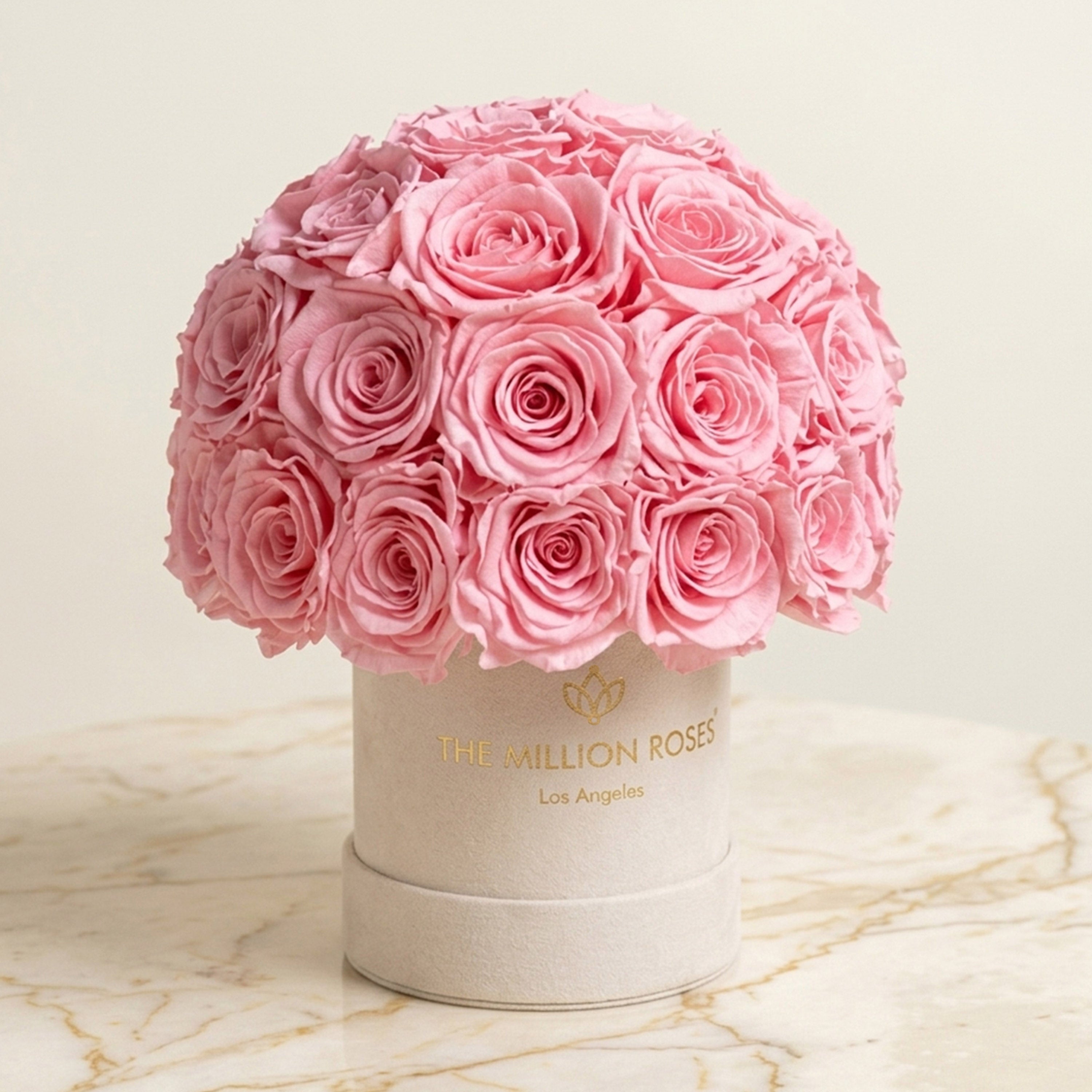 Basic Beige Suede Superdome Box | Light Pink Roses