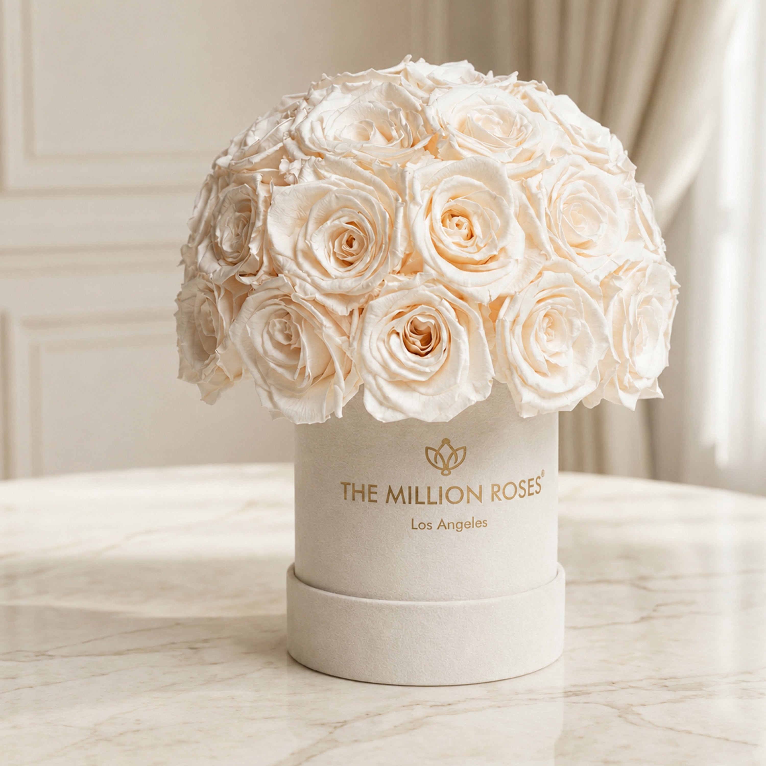 Basic Beige Suede Superdome Box | White Roses