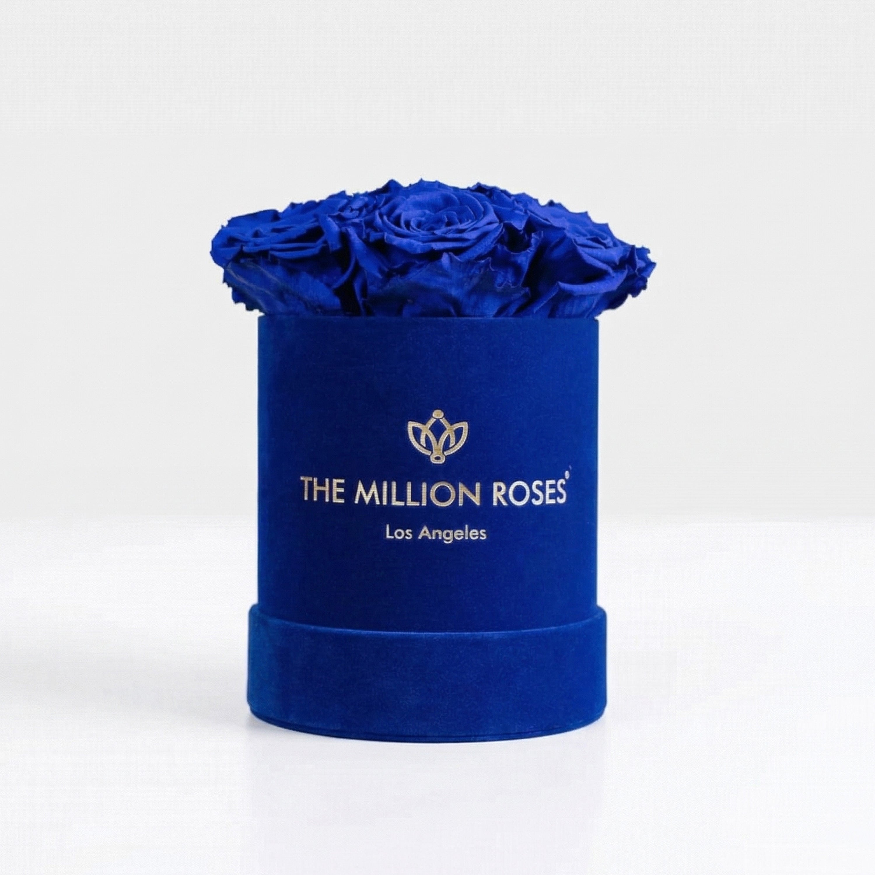 Scatola base in pelle scamosciata blu reale | Rose Blu Reale