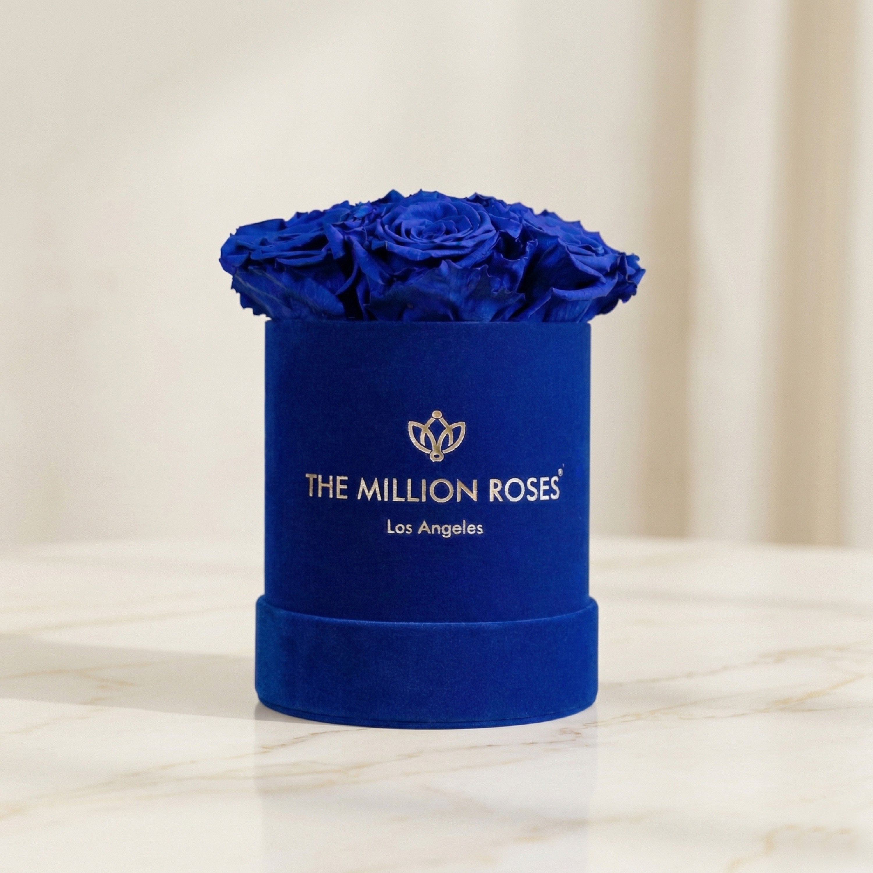 Scatola base in pelle scamosciata blu reale | Rose Blu Reale