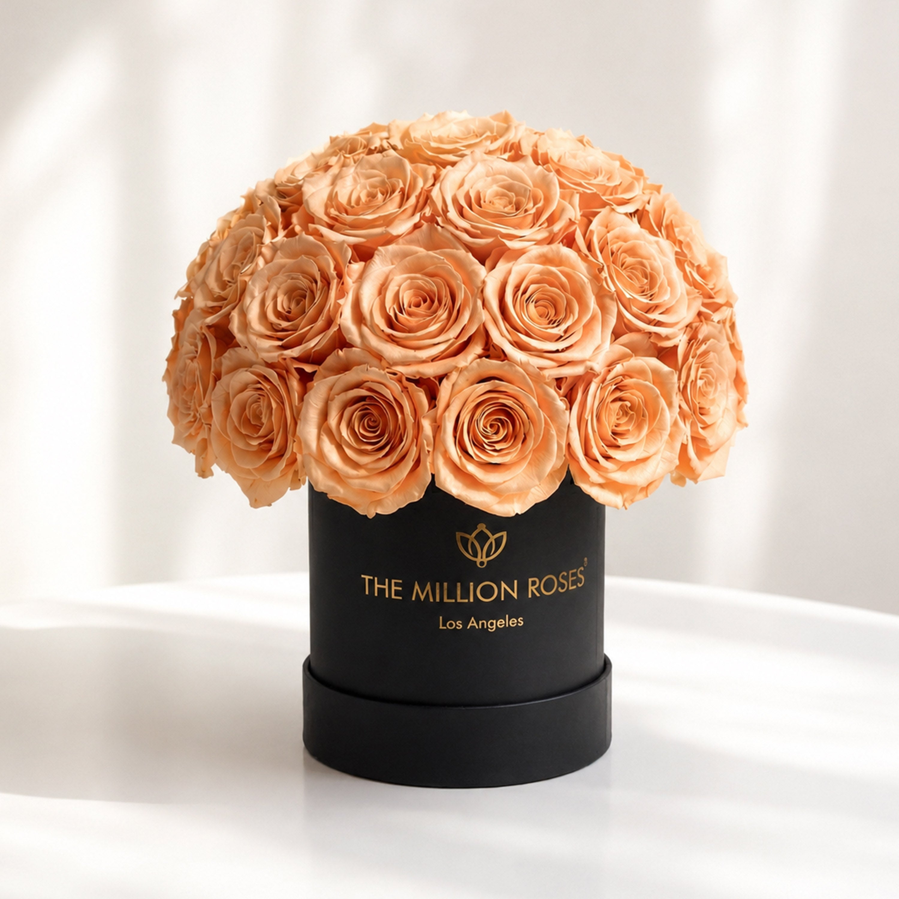 Essence Black Superdome Box | Peach Roses
