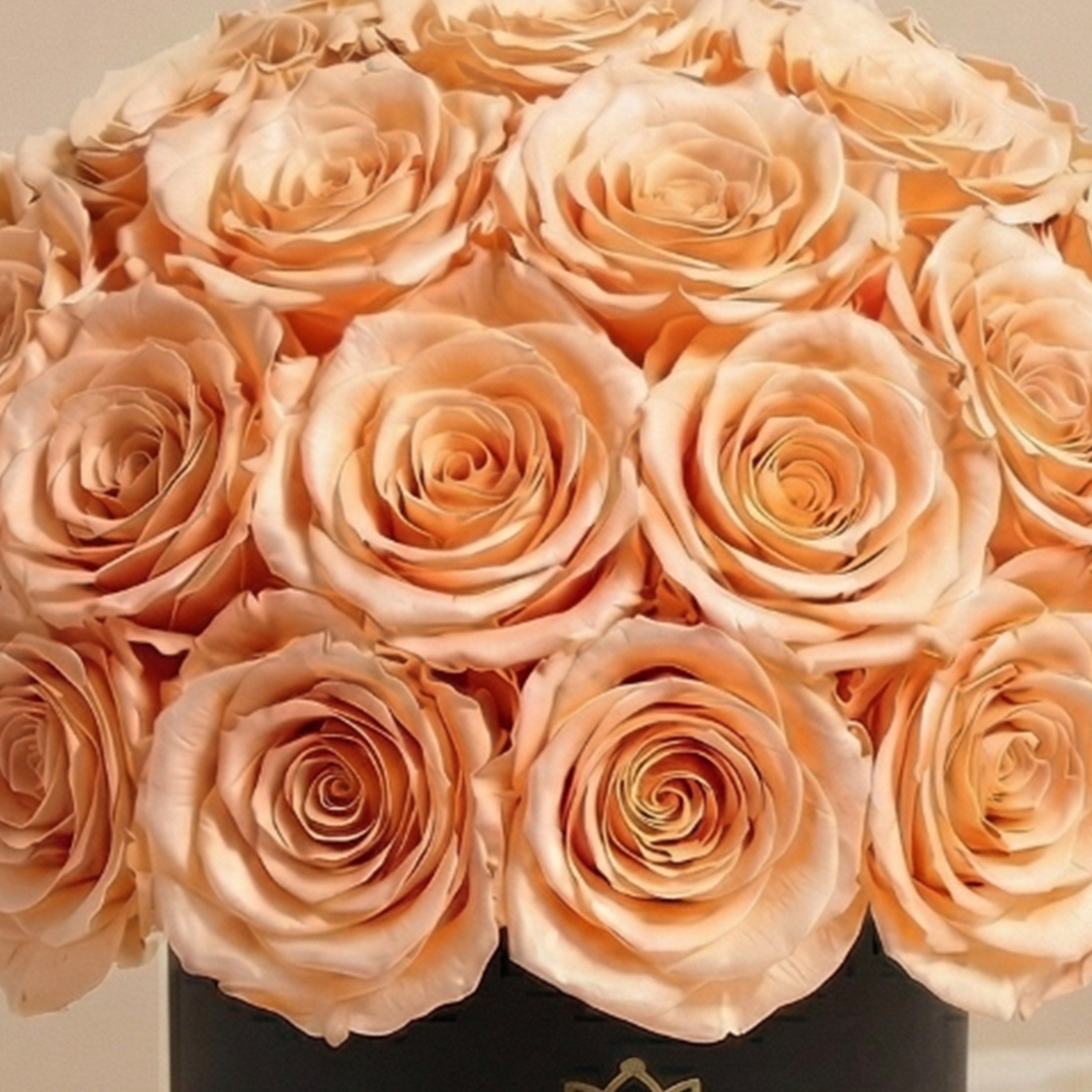 Essence Black Superdome Box | Peach Roses